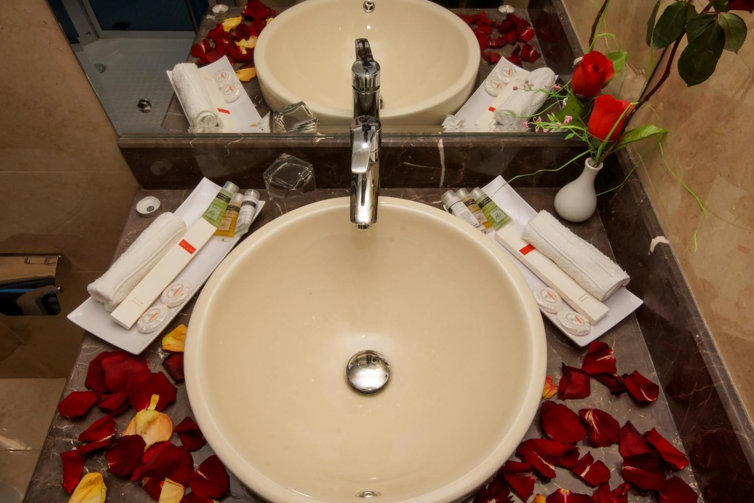 Junior Suite in Rose Oasis Hotel