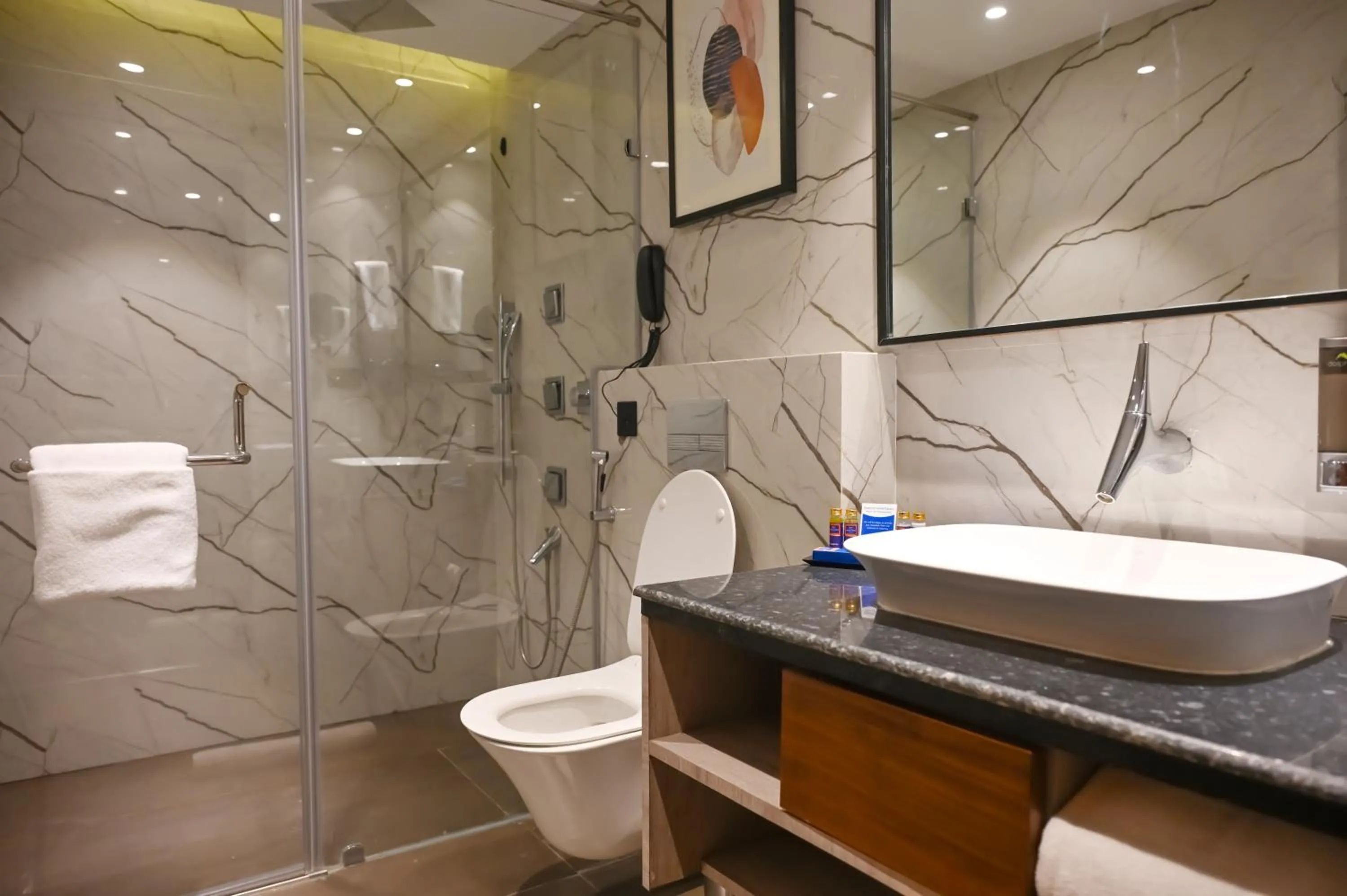 Bathroom in Ishaan Sarovar Portico Deoghar