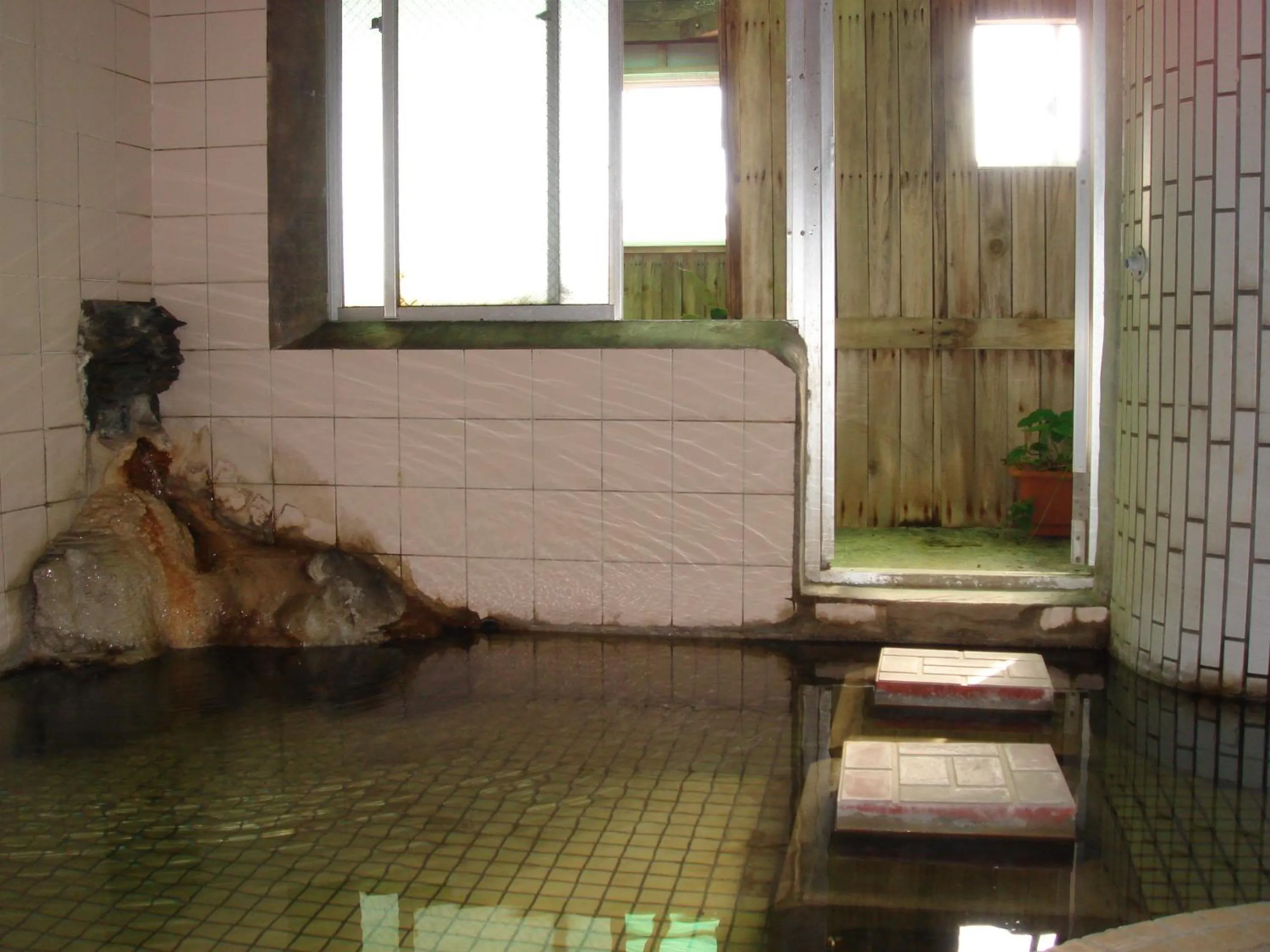 Hot Spring Bath in Hotel Tetora Yunokawaonsen