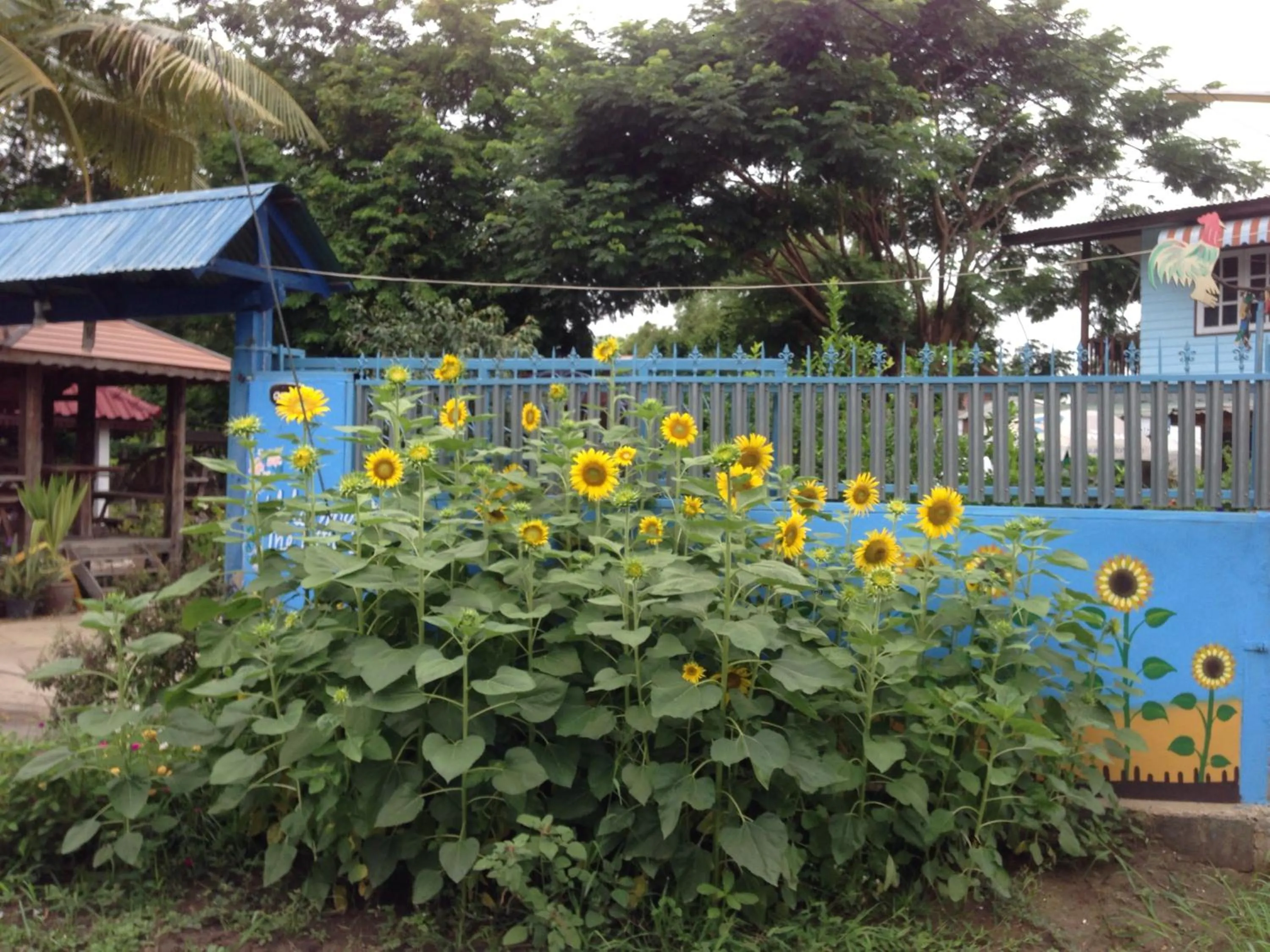 The Little Lopburi Village
