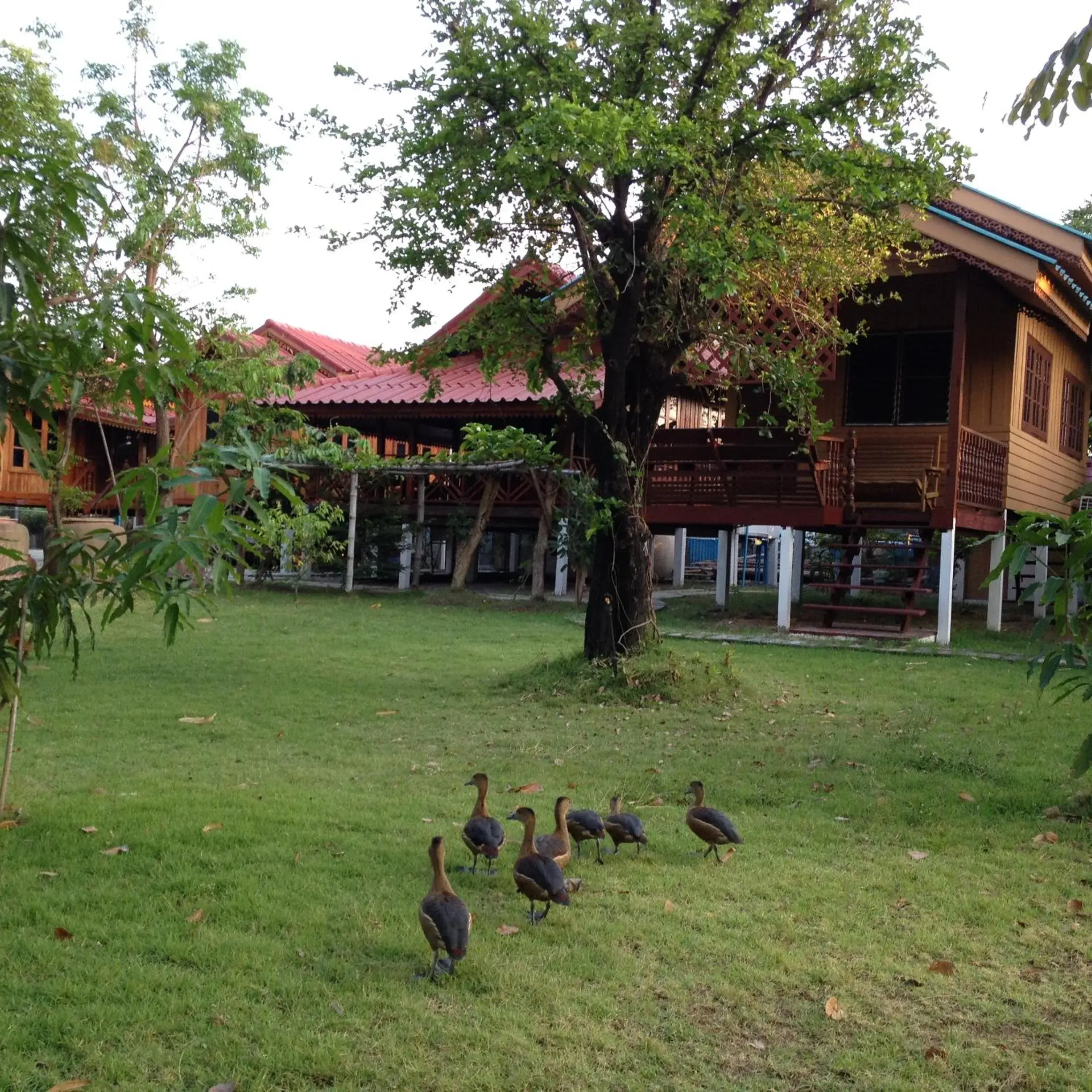 Family Bungalow in The Little Lopburi Village Family Bungalow in The Little Lopburi Village