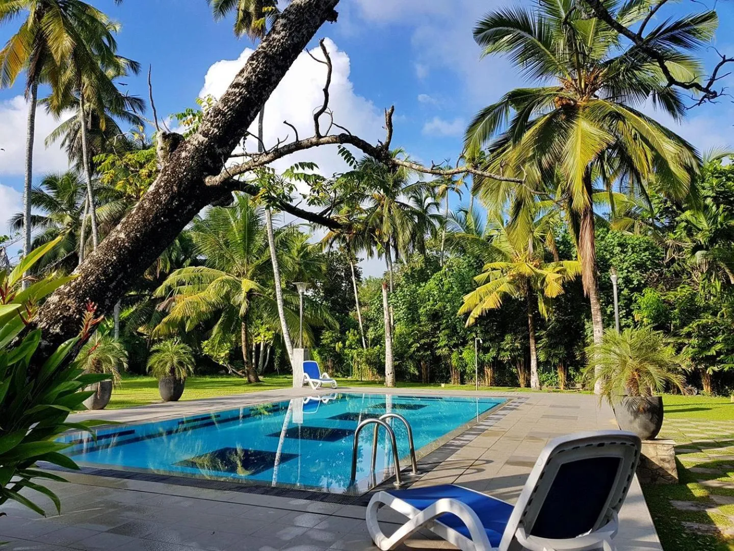 Villa Velmarie Yoga and Ayurveda house all inclusive