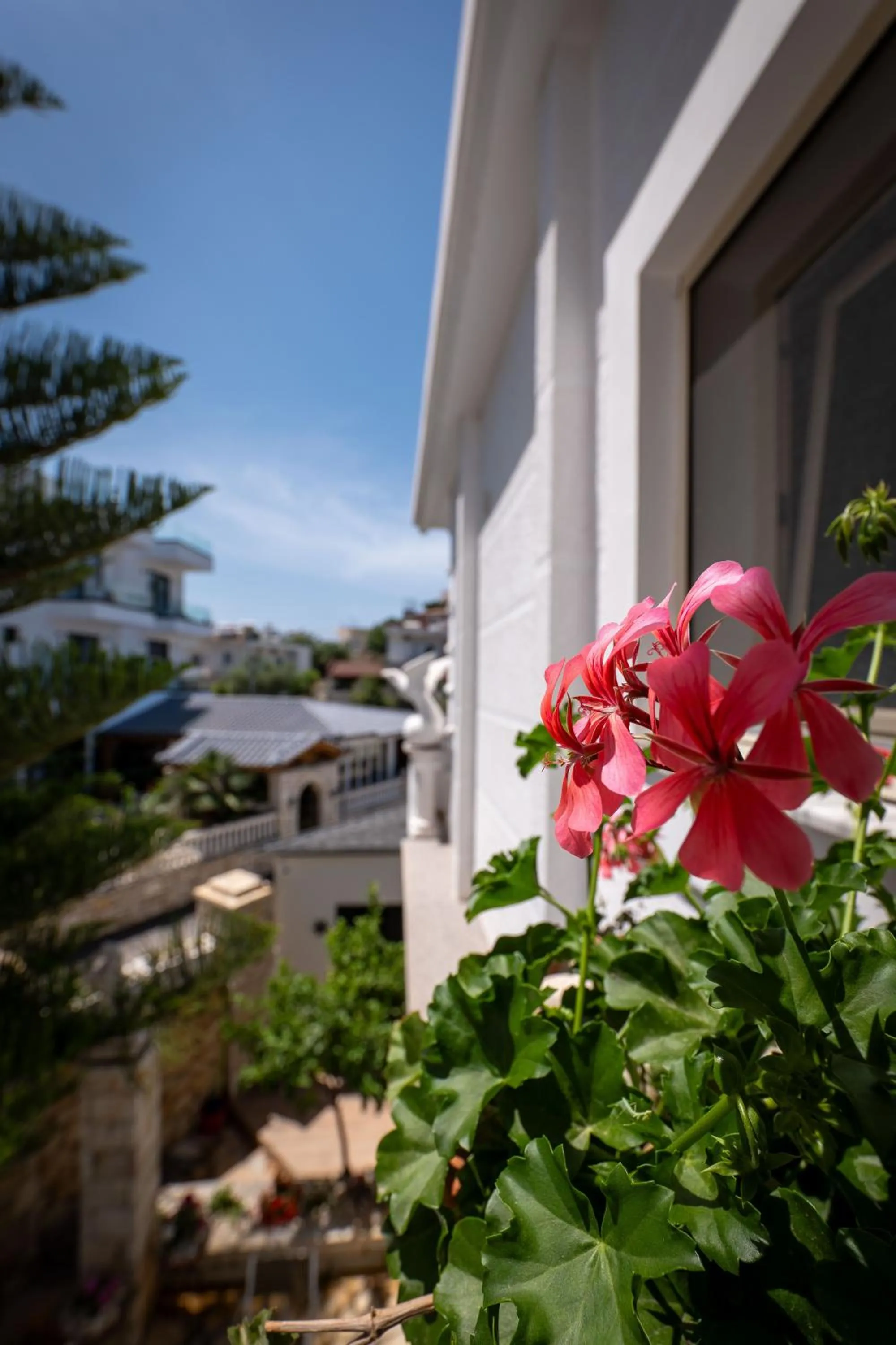 Property building in Vila Vasili