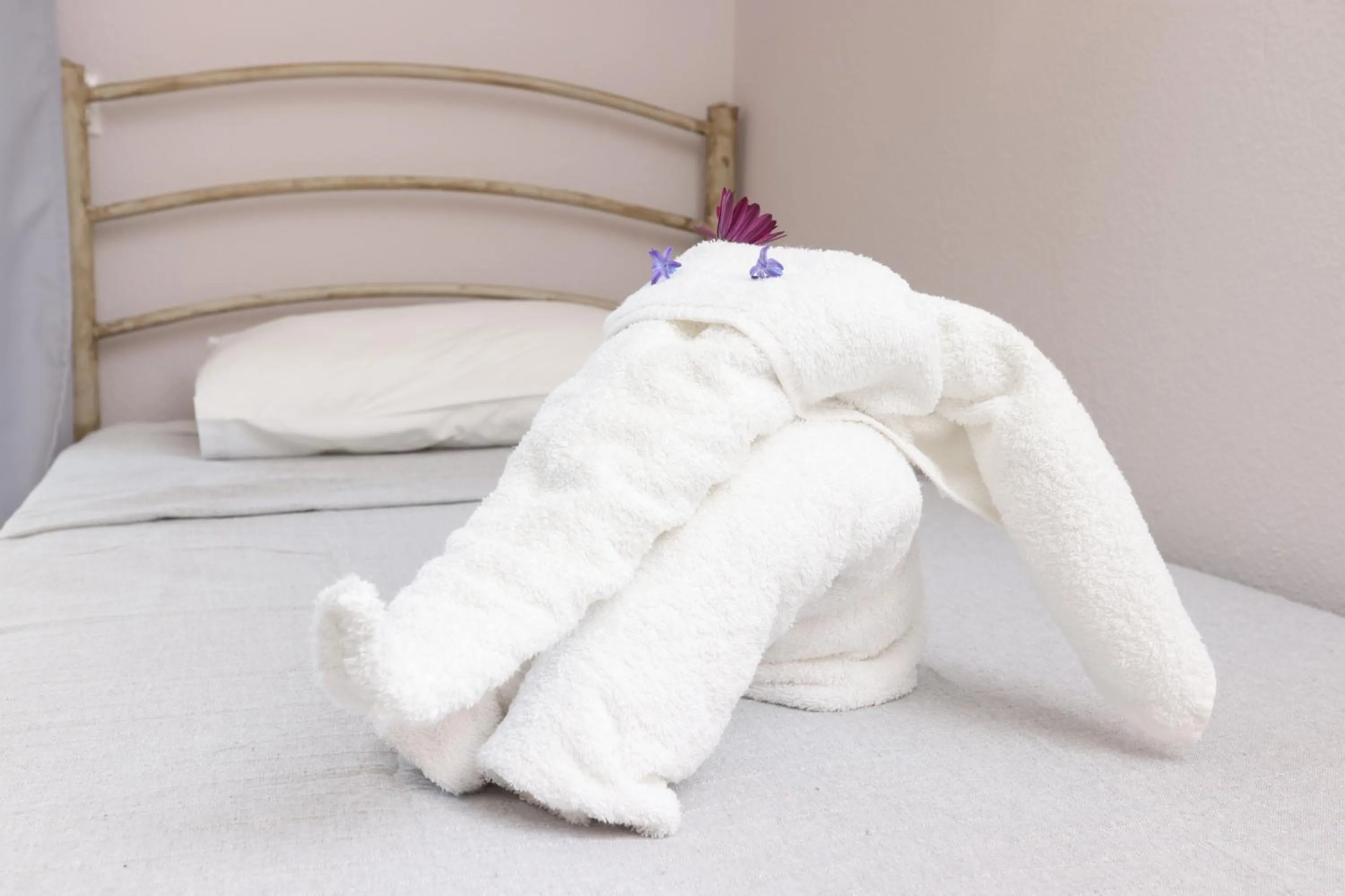 Bed in Summer Dream Hotel