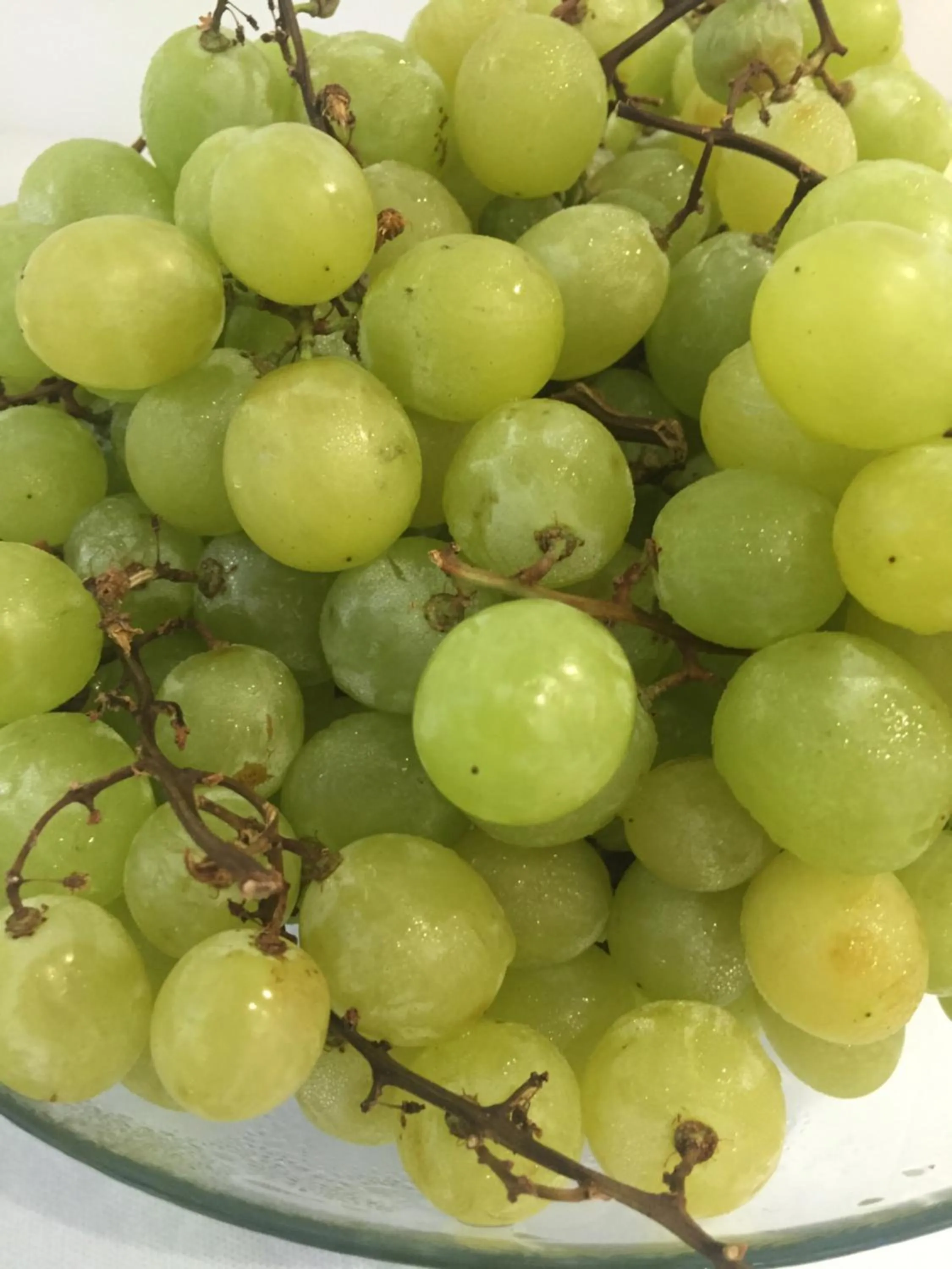 Italian breakfast in Hotel Perla Gaia