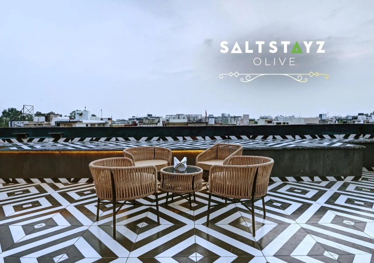 Balcony/Terrace in Saltstayz Select - Pitampura