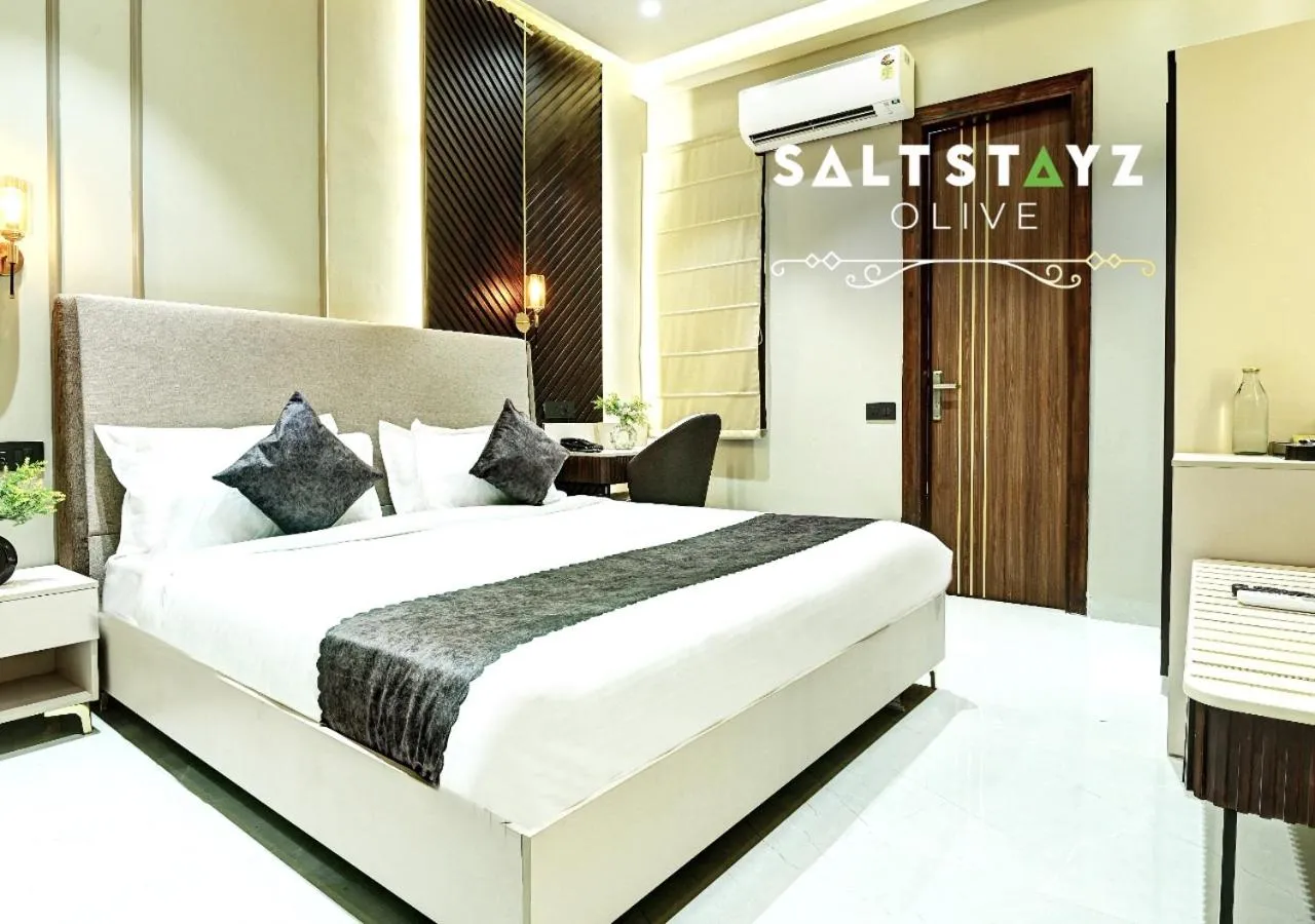 Bed in Saltstayz Select - Pitampura