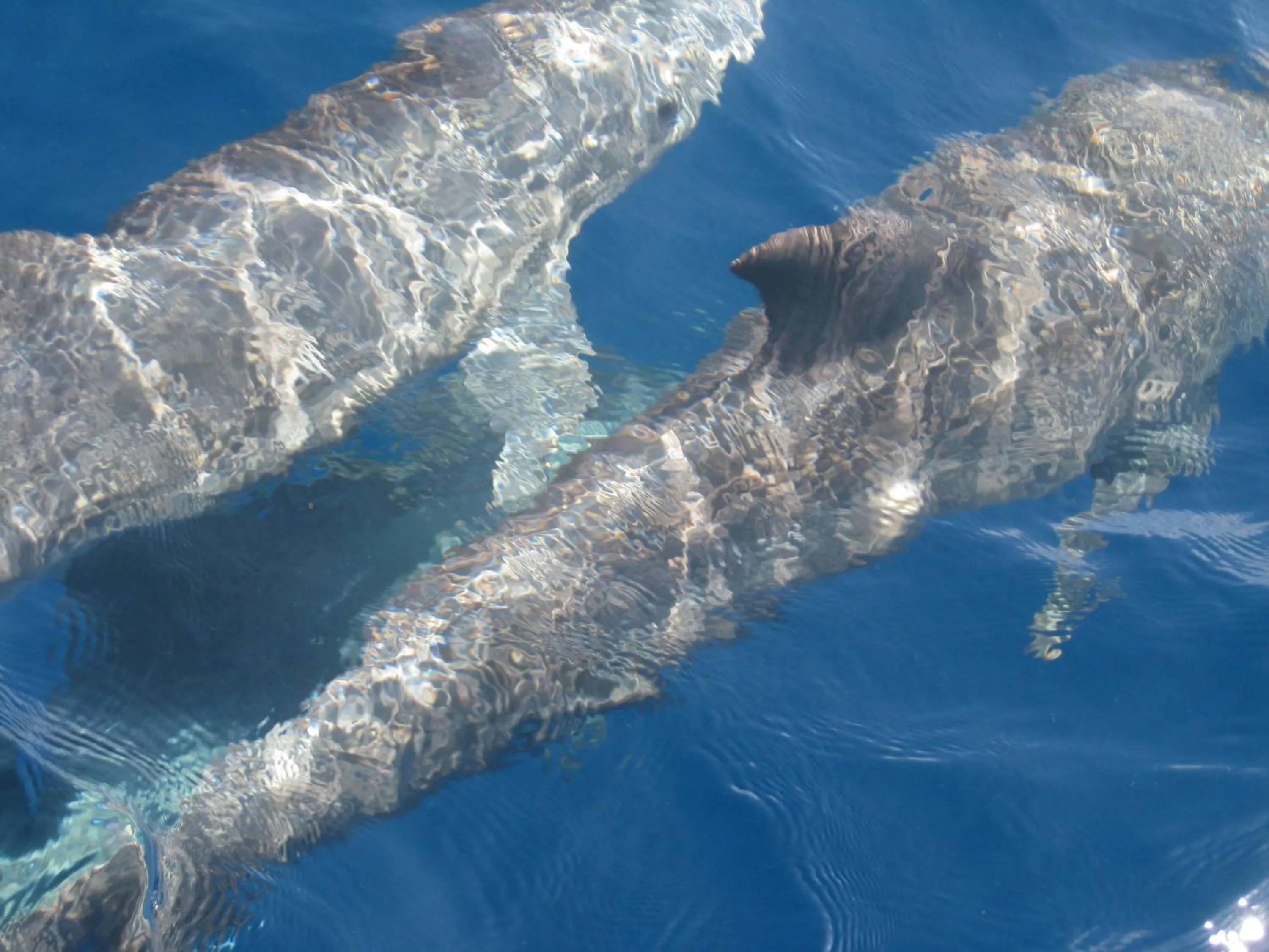 Other in Lantana Galu Beach