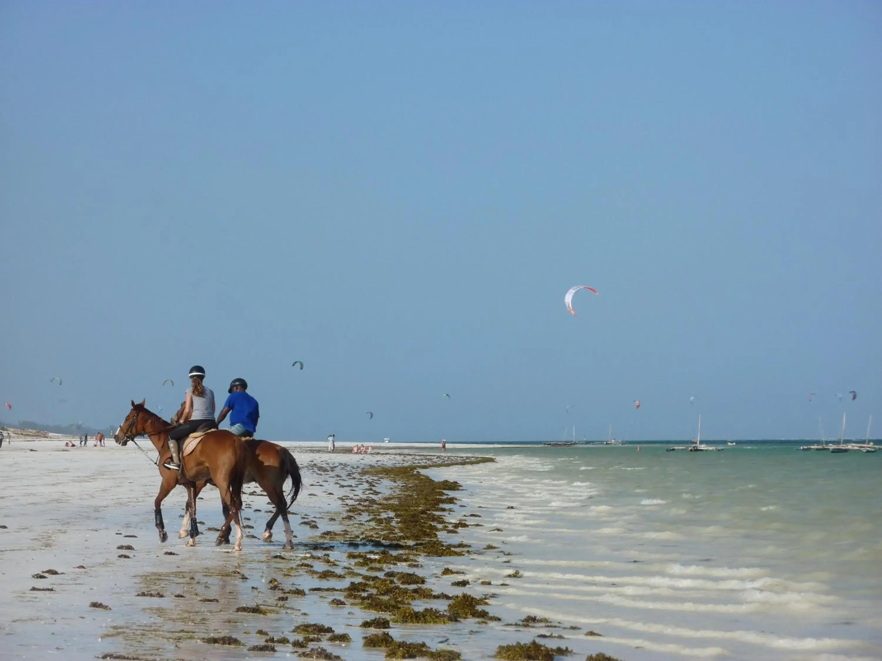 Horse-riding in Lantana Galu Beach Horse-riding in Lantana Galu Beach
