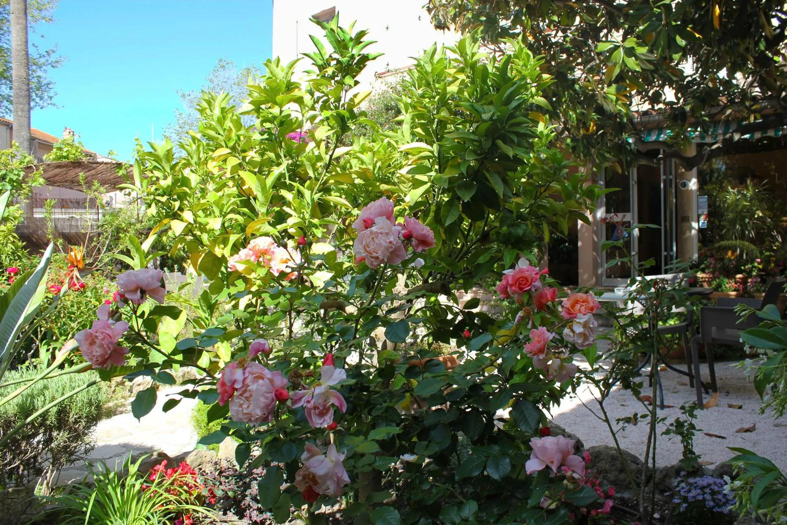 Hôtel Les Palmiers