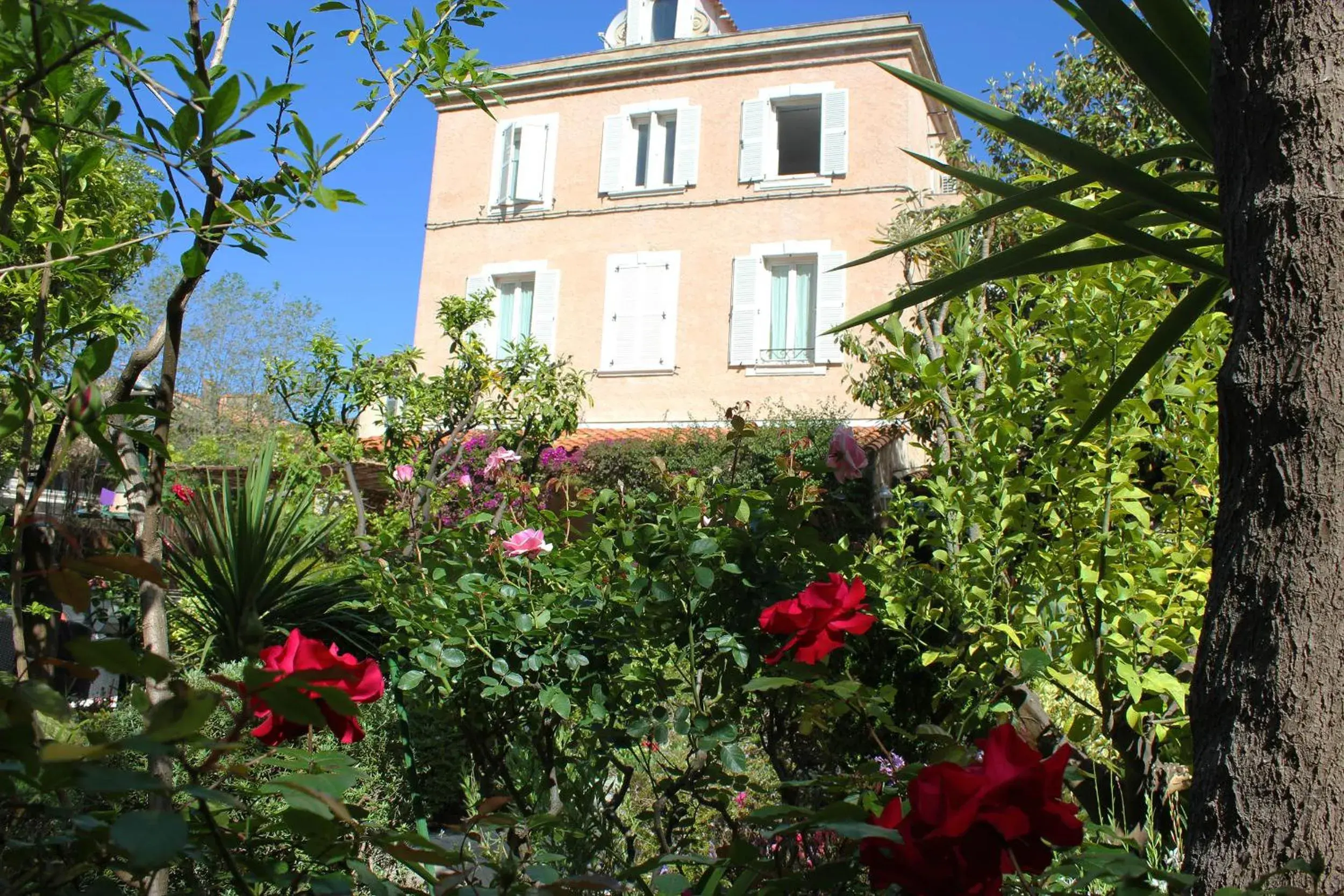 Hôtel Les Palmiers Hôtel Les Palmiers