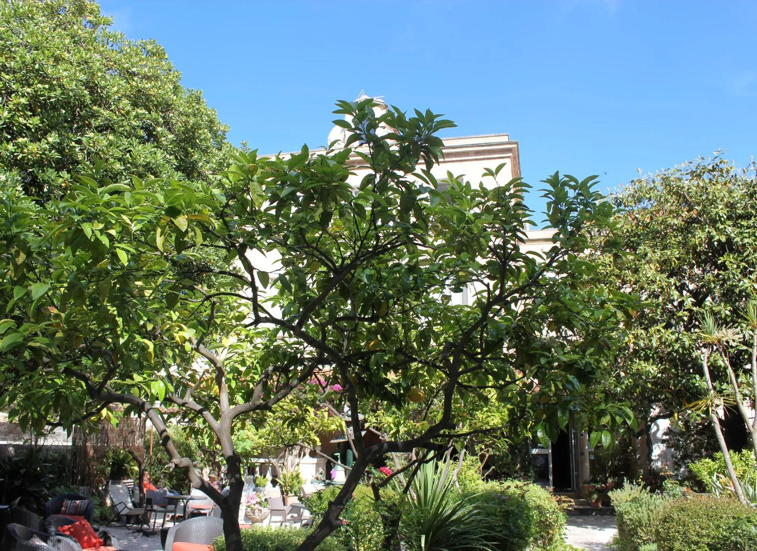 Hôtel Les Palmiers