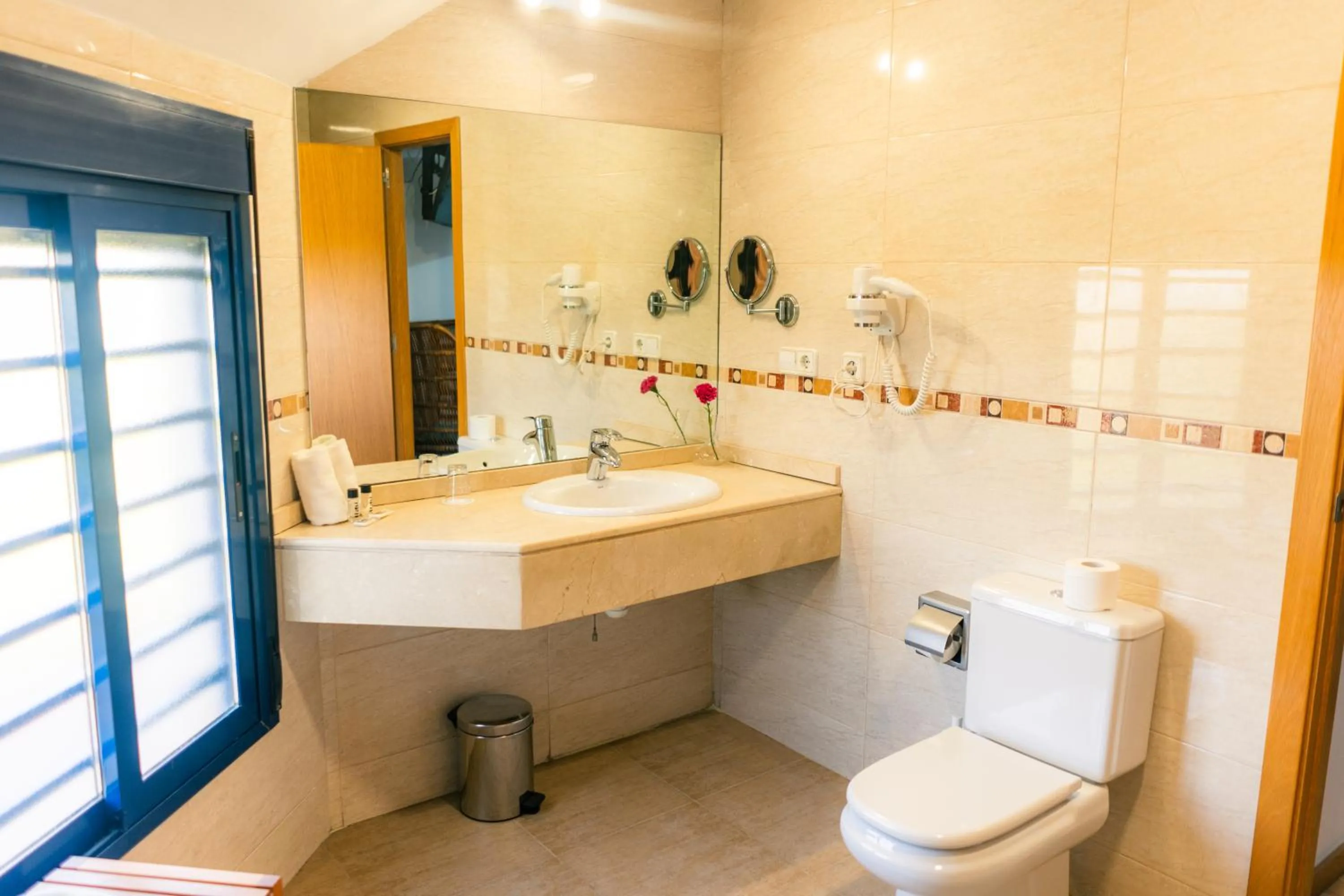 Toilet in Plaza Alaquas