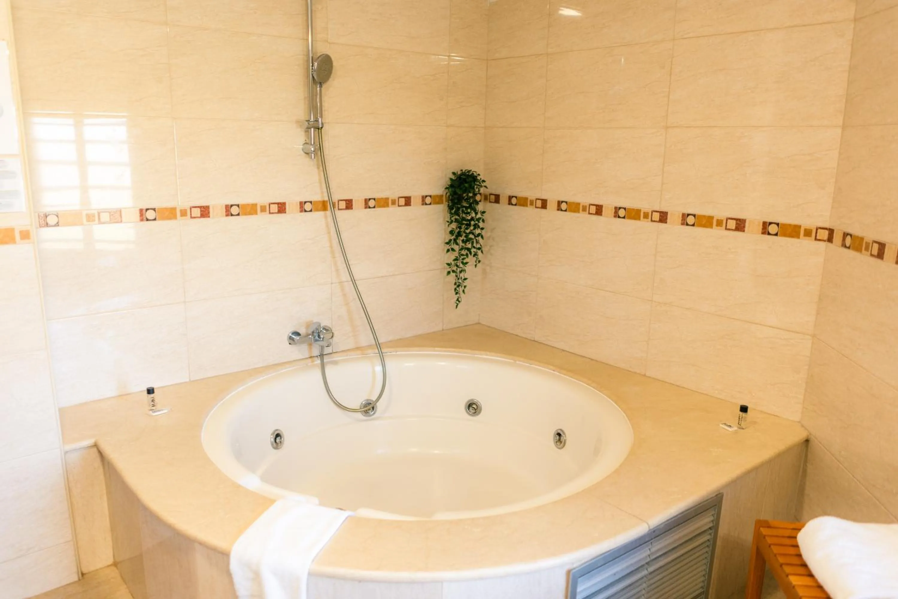 Hot Tub in Plaza Alaquas