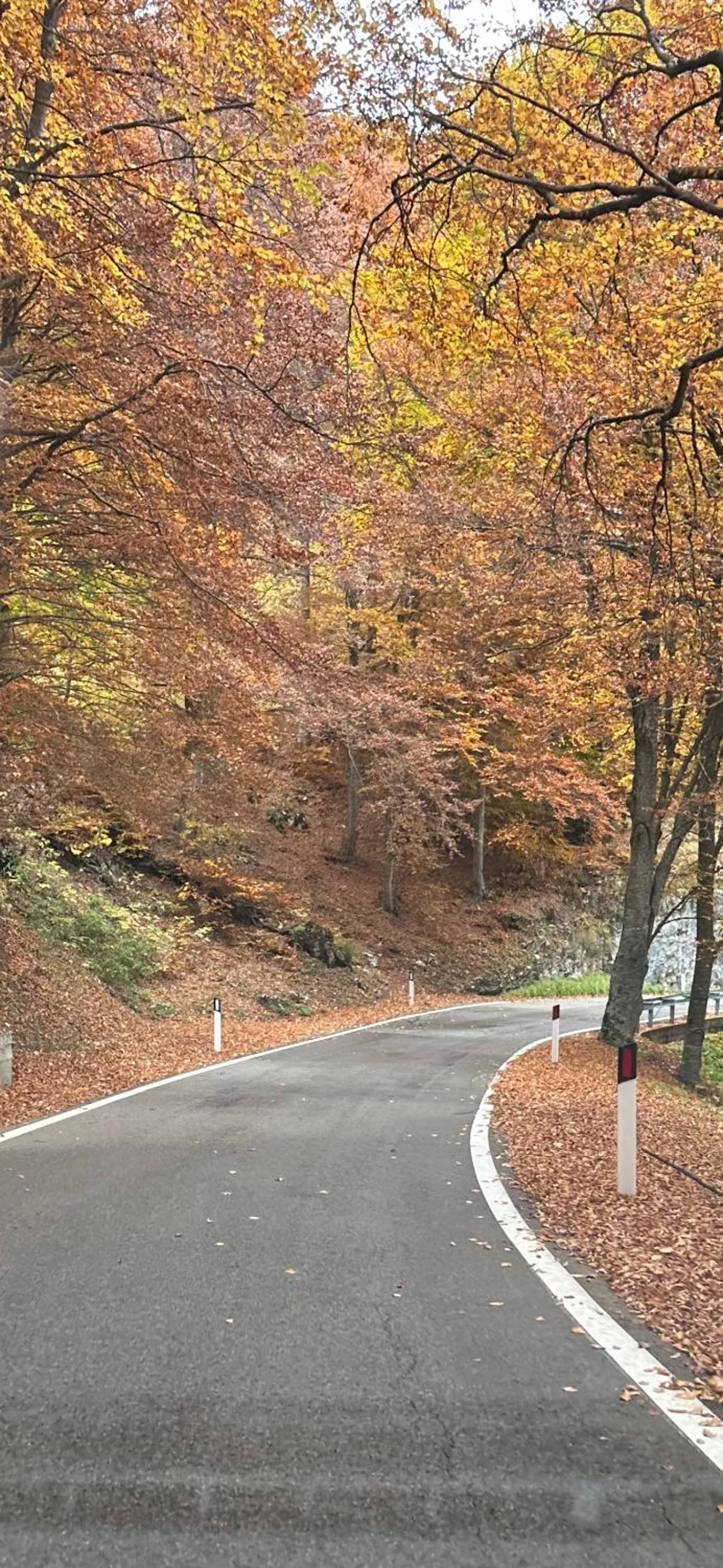 Natural landscape in Helts B&B - Helts Guesthouse