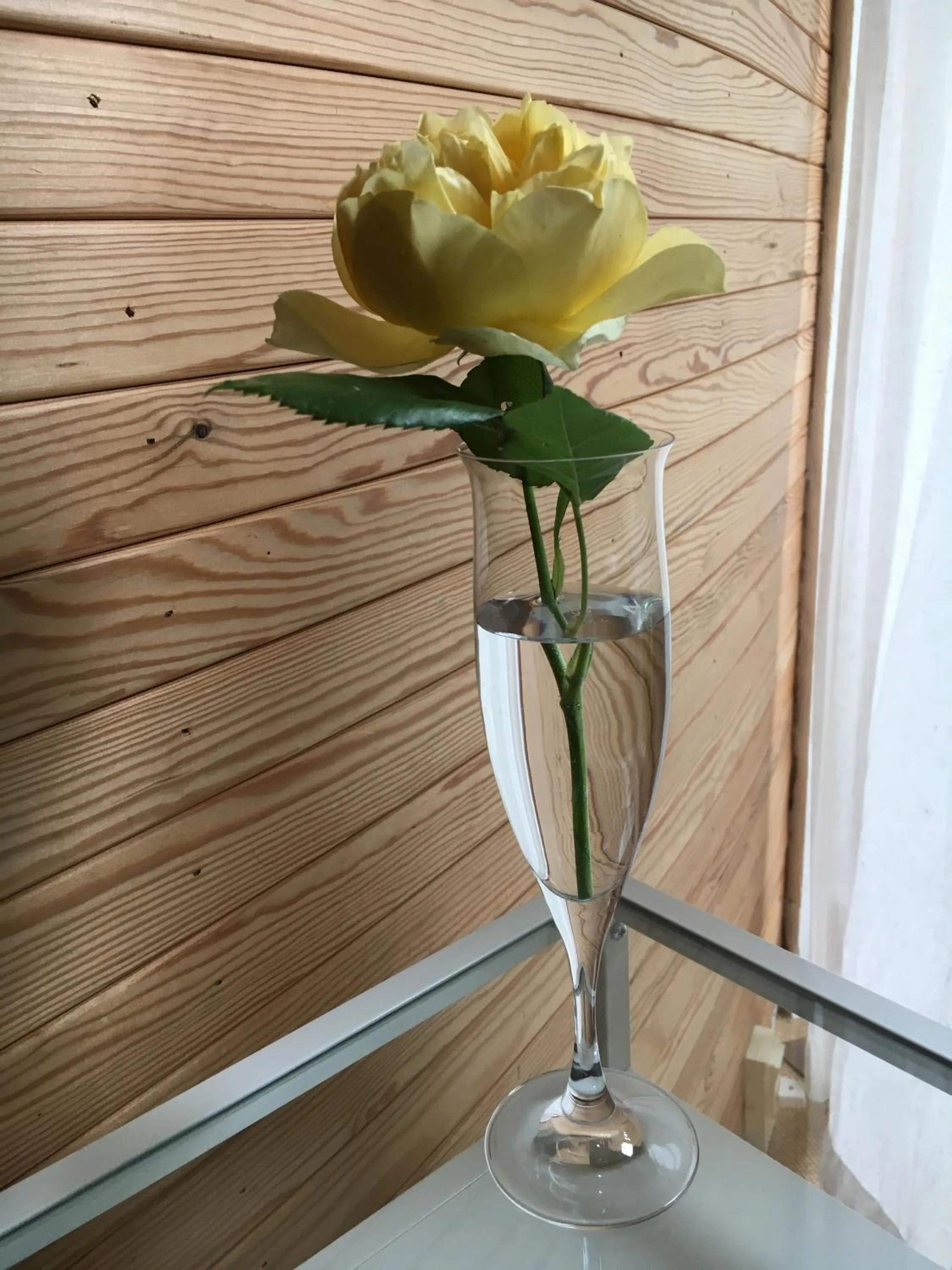 Decorative detail in Helts B&B - Helts Guesthouse