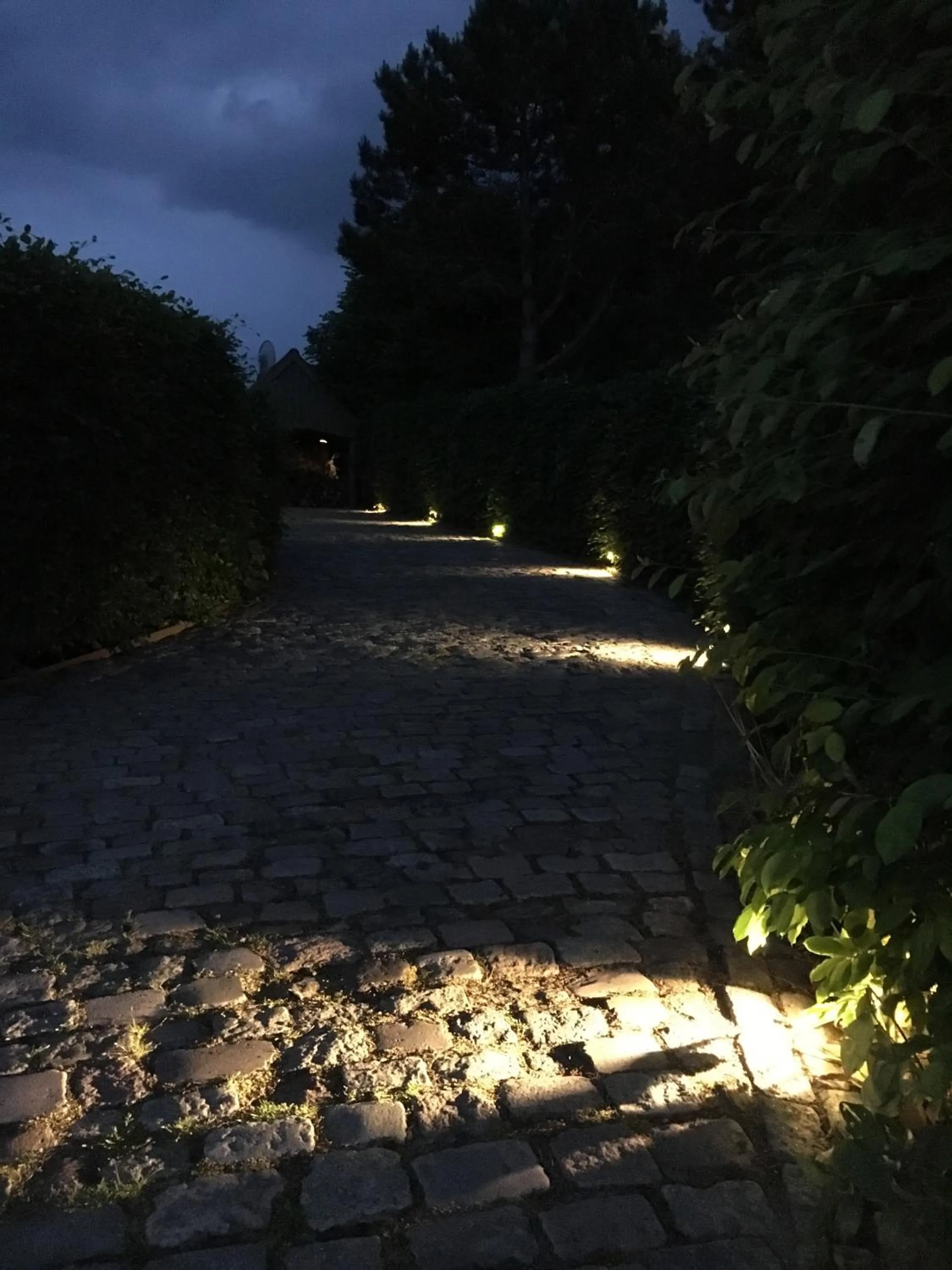 Area and facilities in Helts B&B - Helts Guesthouse