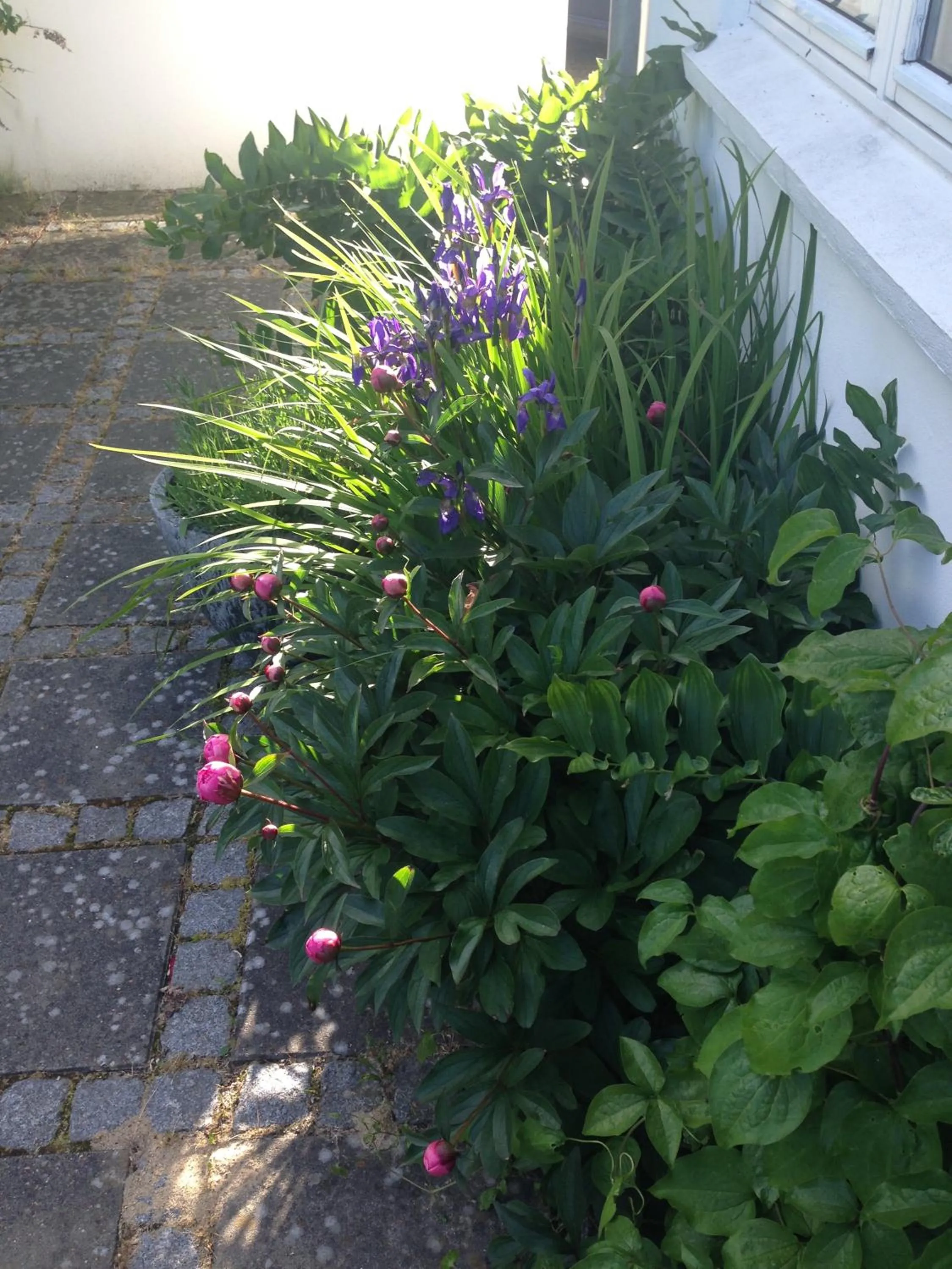Patio in Helts B&B - Helts Guesthouse