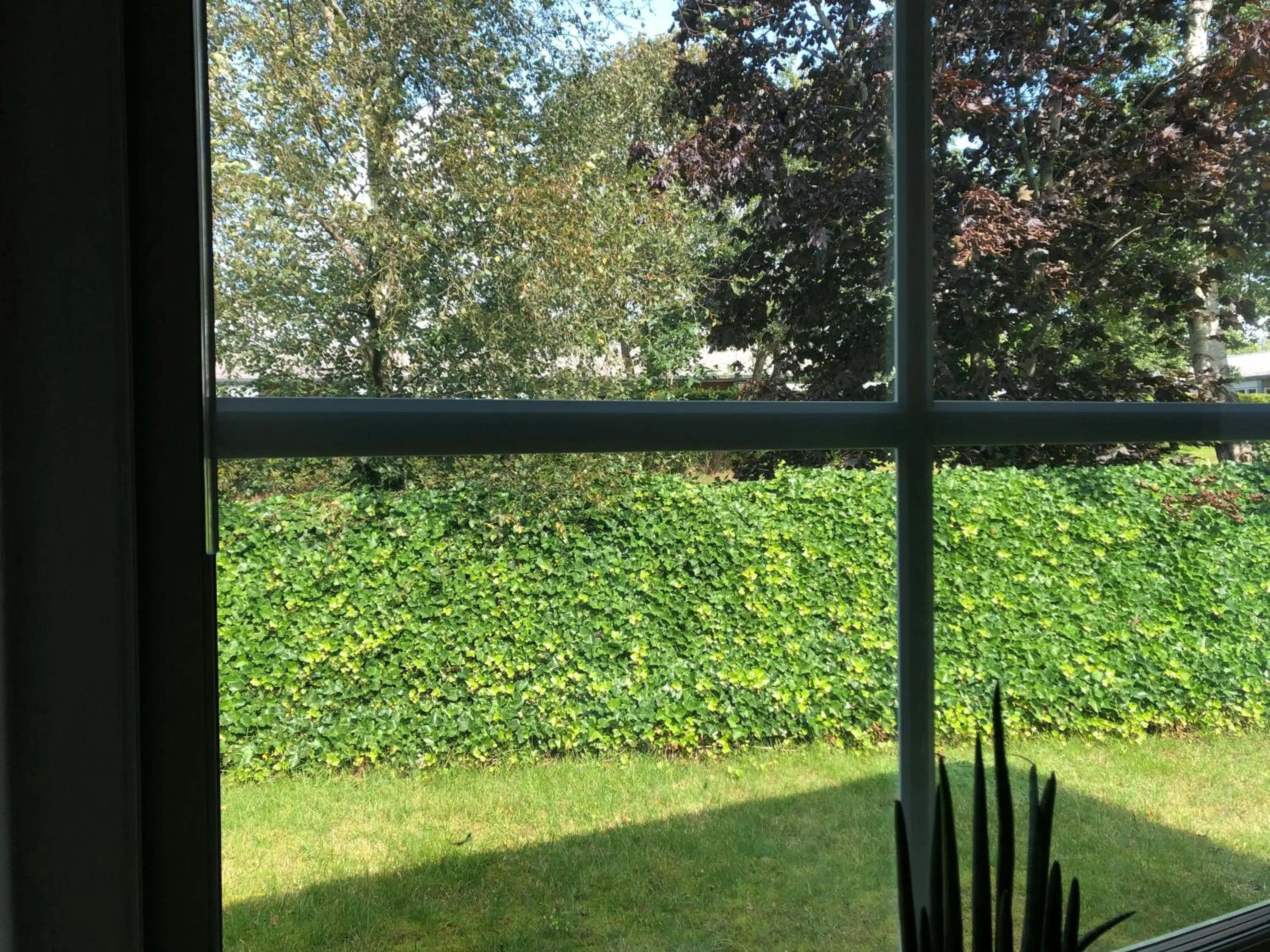 Garden view in Helts B&B - Helts Guesthouse