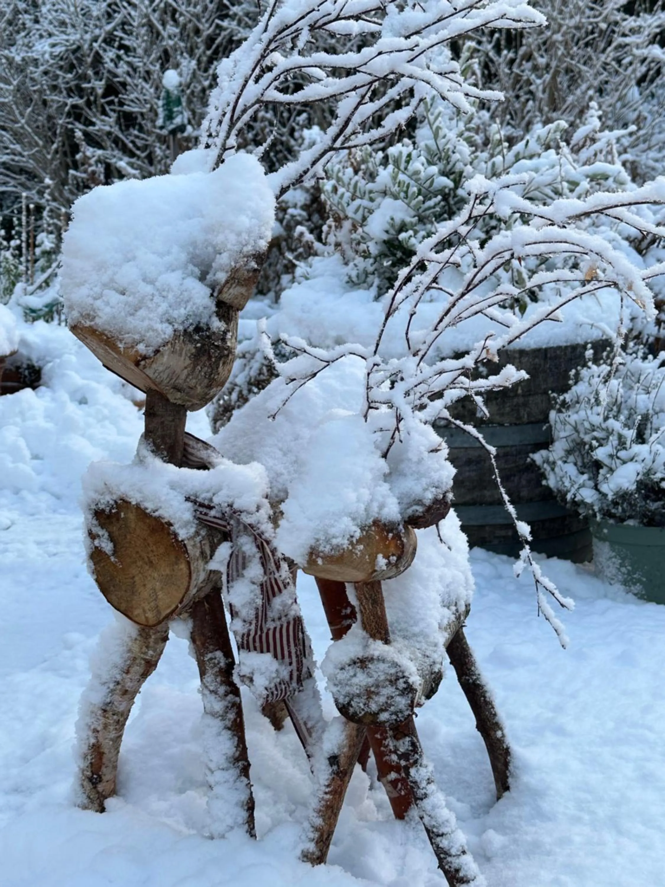Patio in Helts B&B - Helts Guesthouse