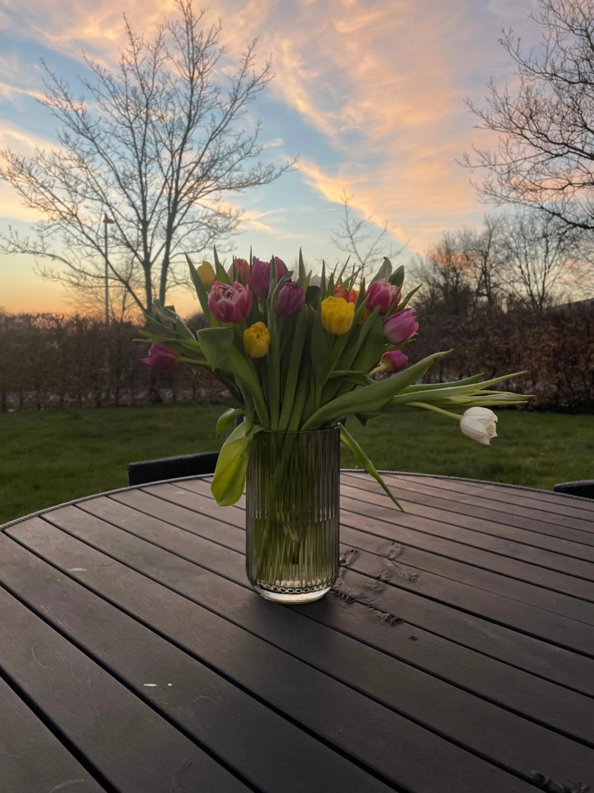 Garden in Helts B&B - Helts Guesthouse