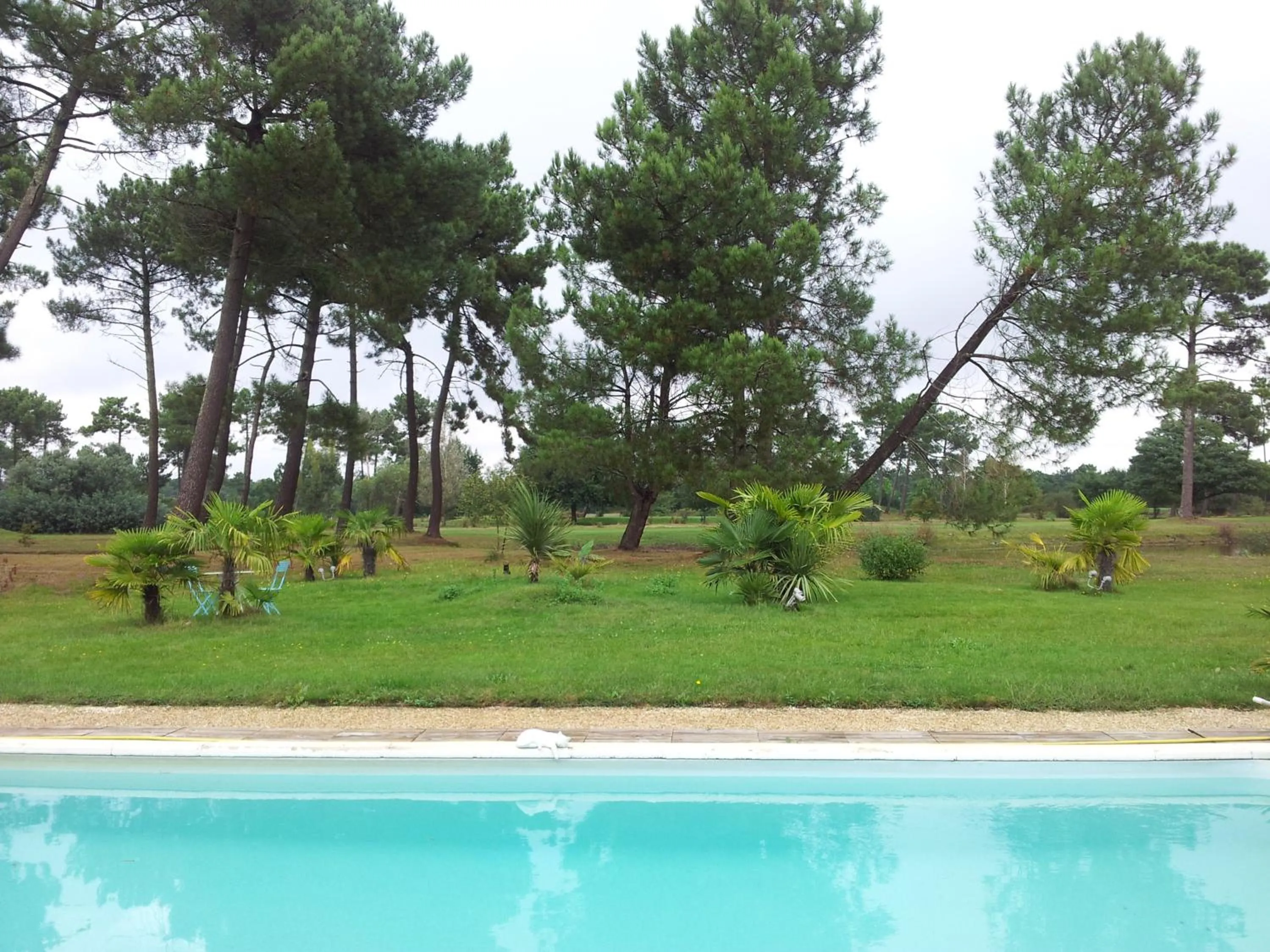 Garden view in Villa Saint Barth