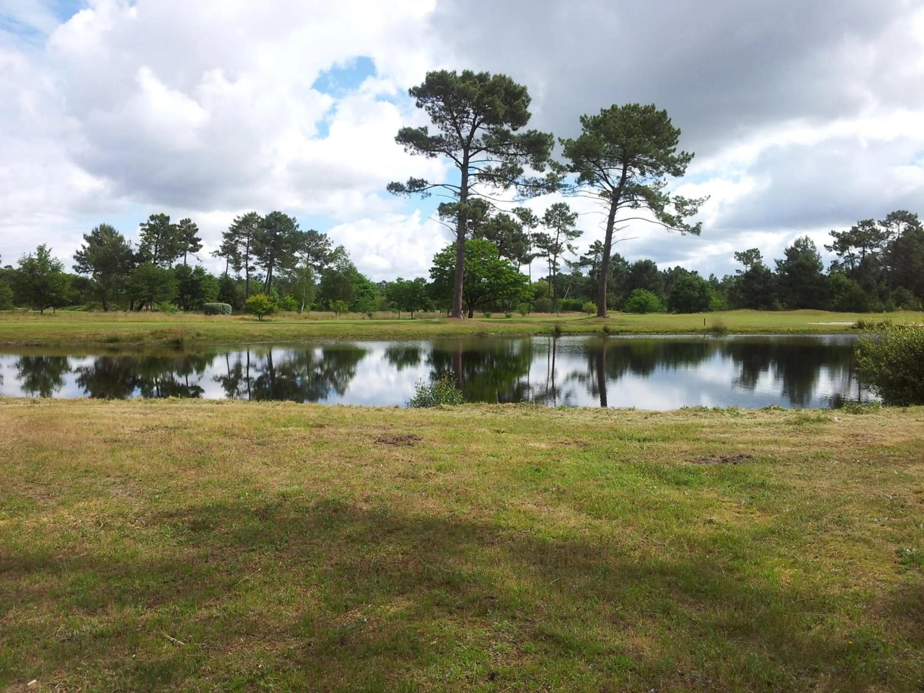 Garden view in Villa Saint Barth