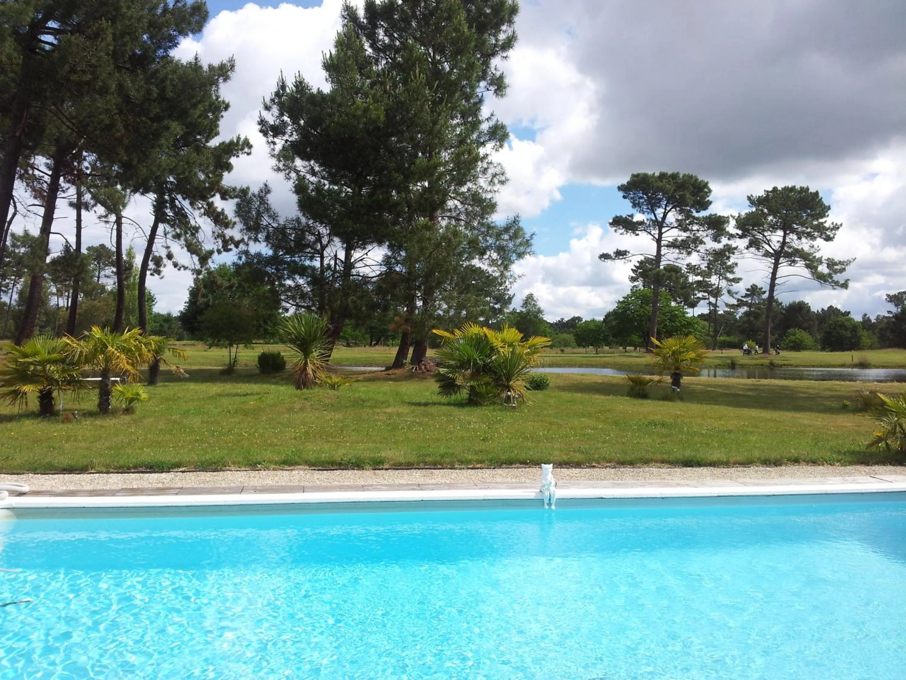 Garden view in Villa Saint Barth
