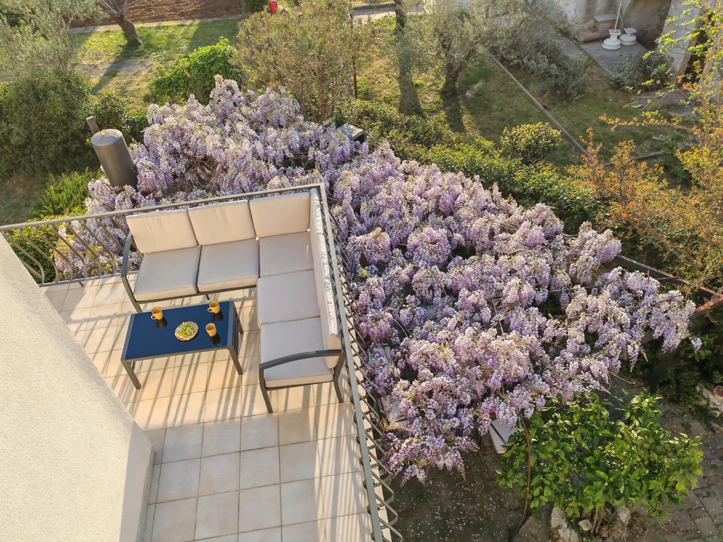 View (from property/room) in Apartman Noni Biograd na Moru