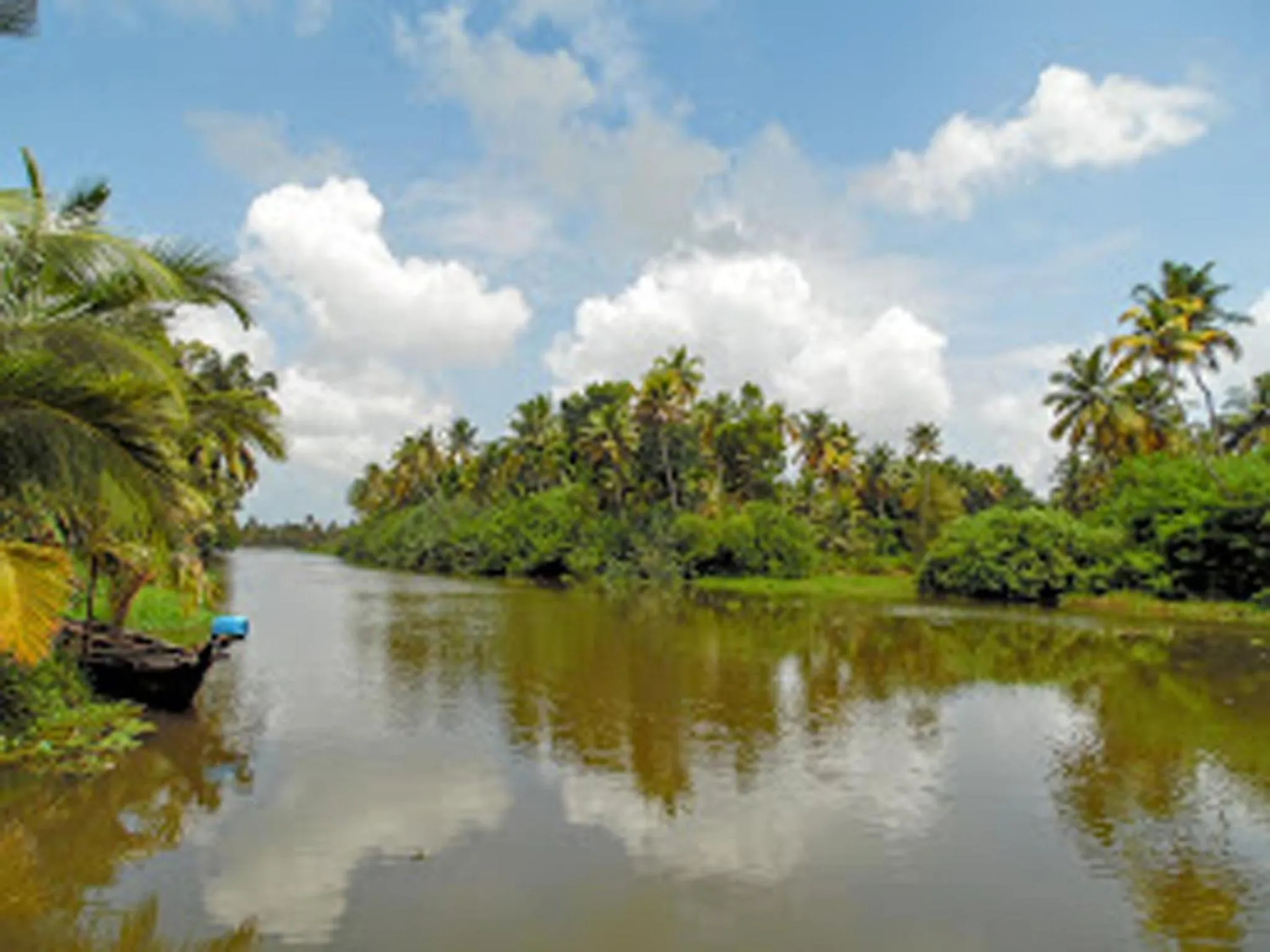 Summer in Eco Trails Houseboats