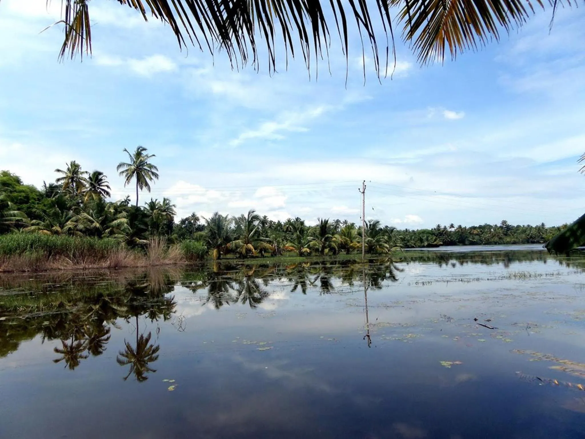 Neighbourhood in Eco Trails Houseboats