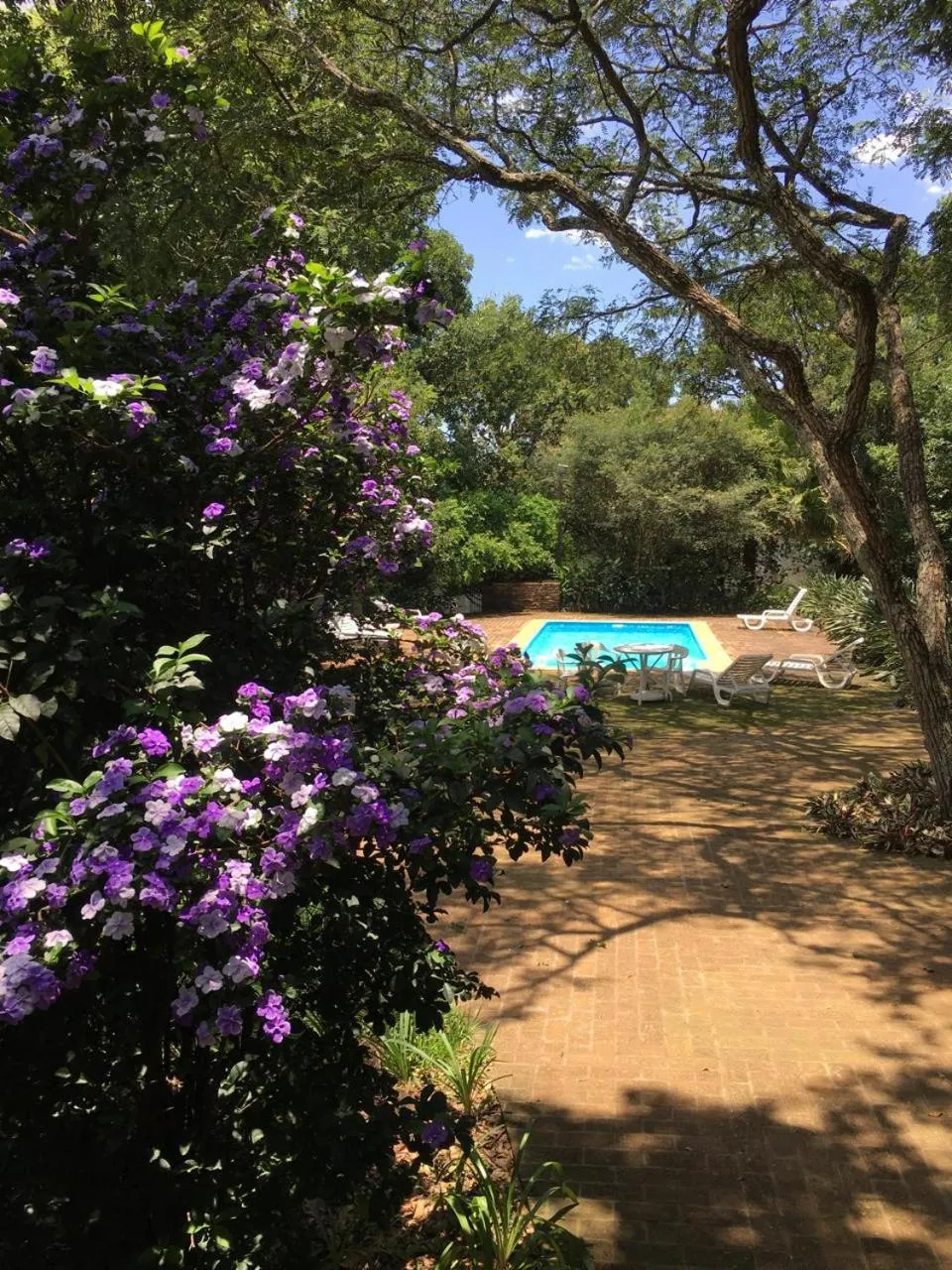 Swimming pool in Pousada Villa dei Colori