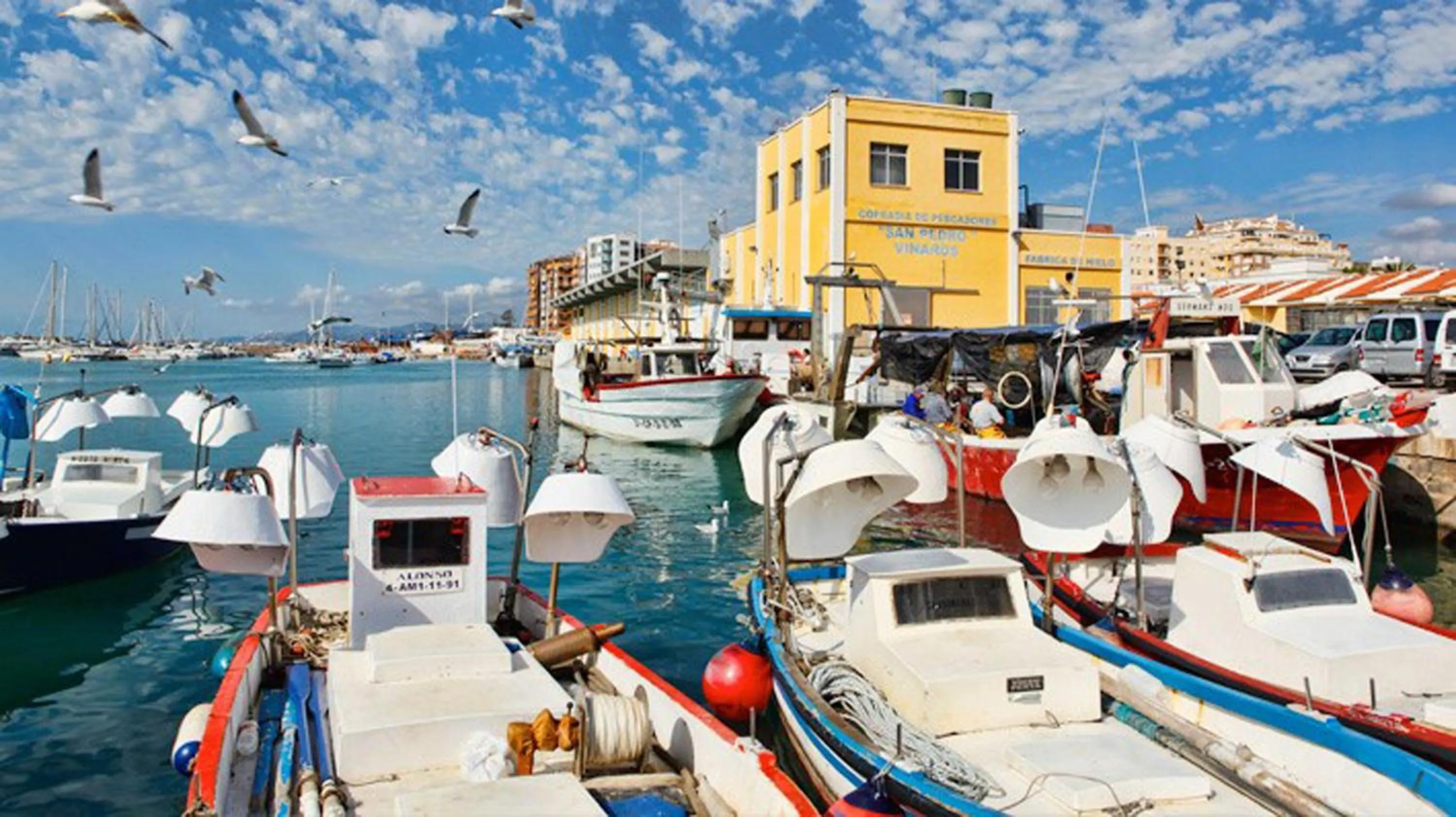 Day in Estudios RH Vinaros