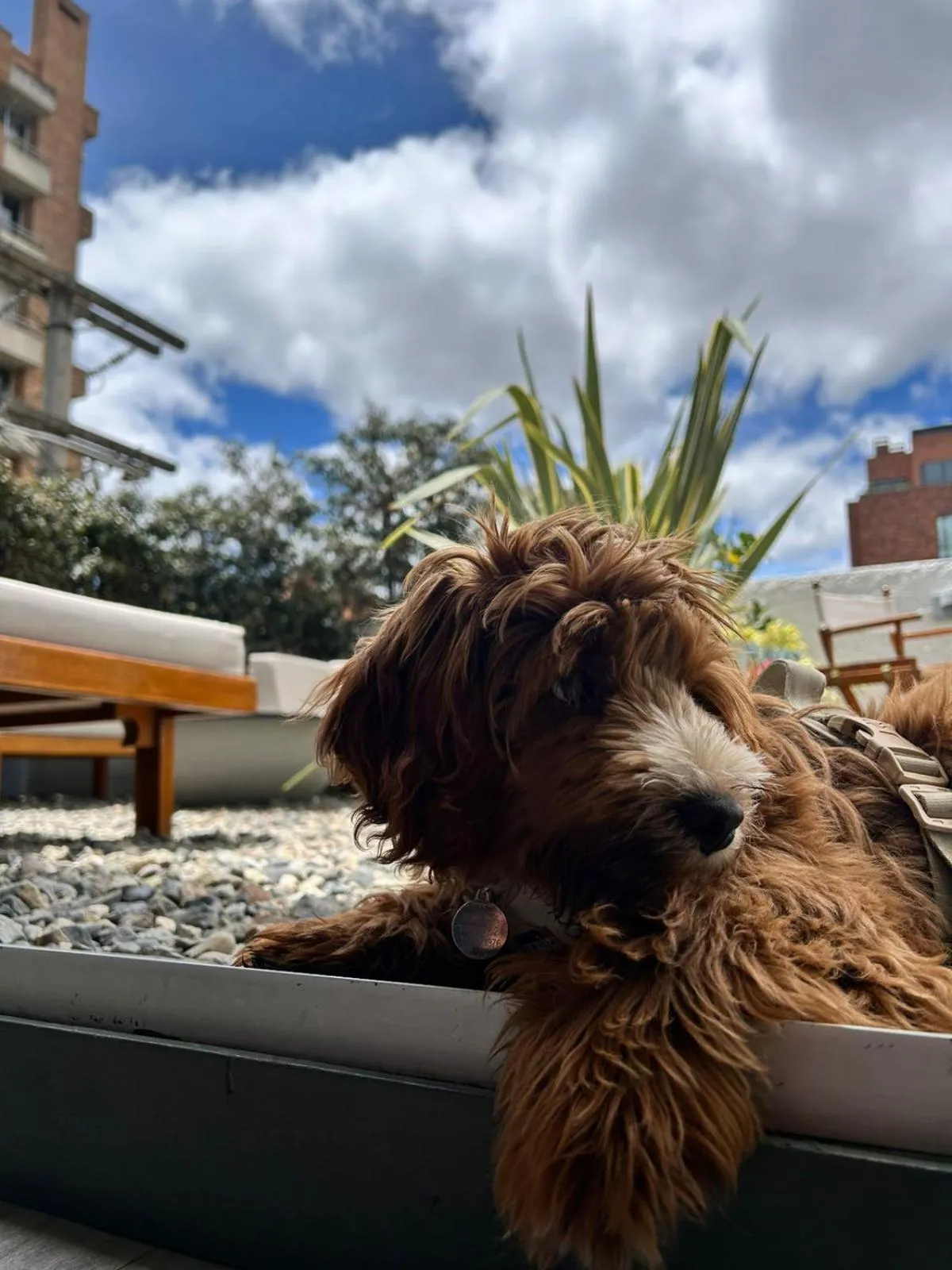 Day in Hotel CityFlats