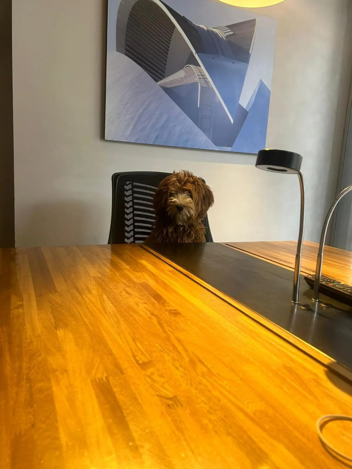 Meeting/conference room in Hotel CityFlats