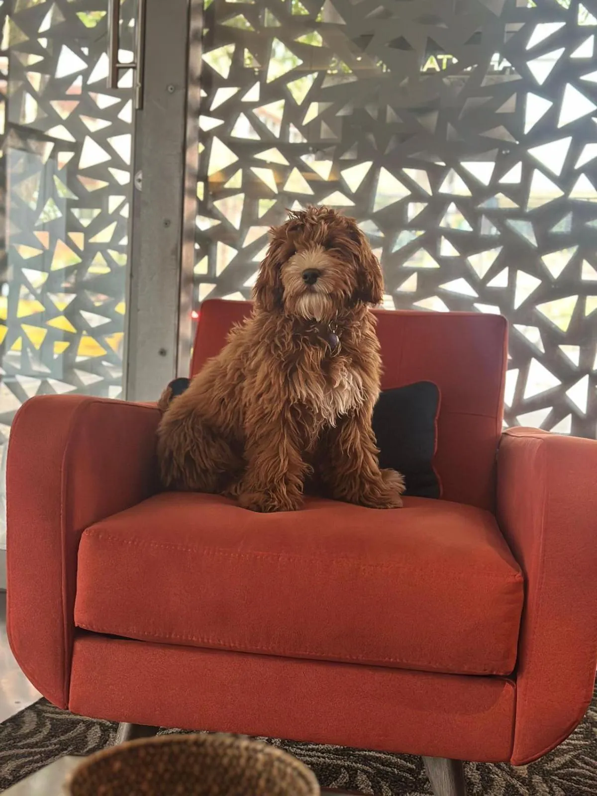 Staff in Hotel CityFlats