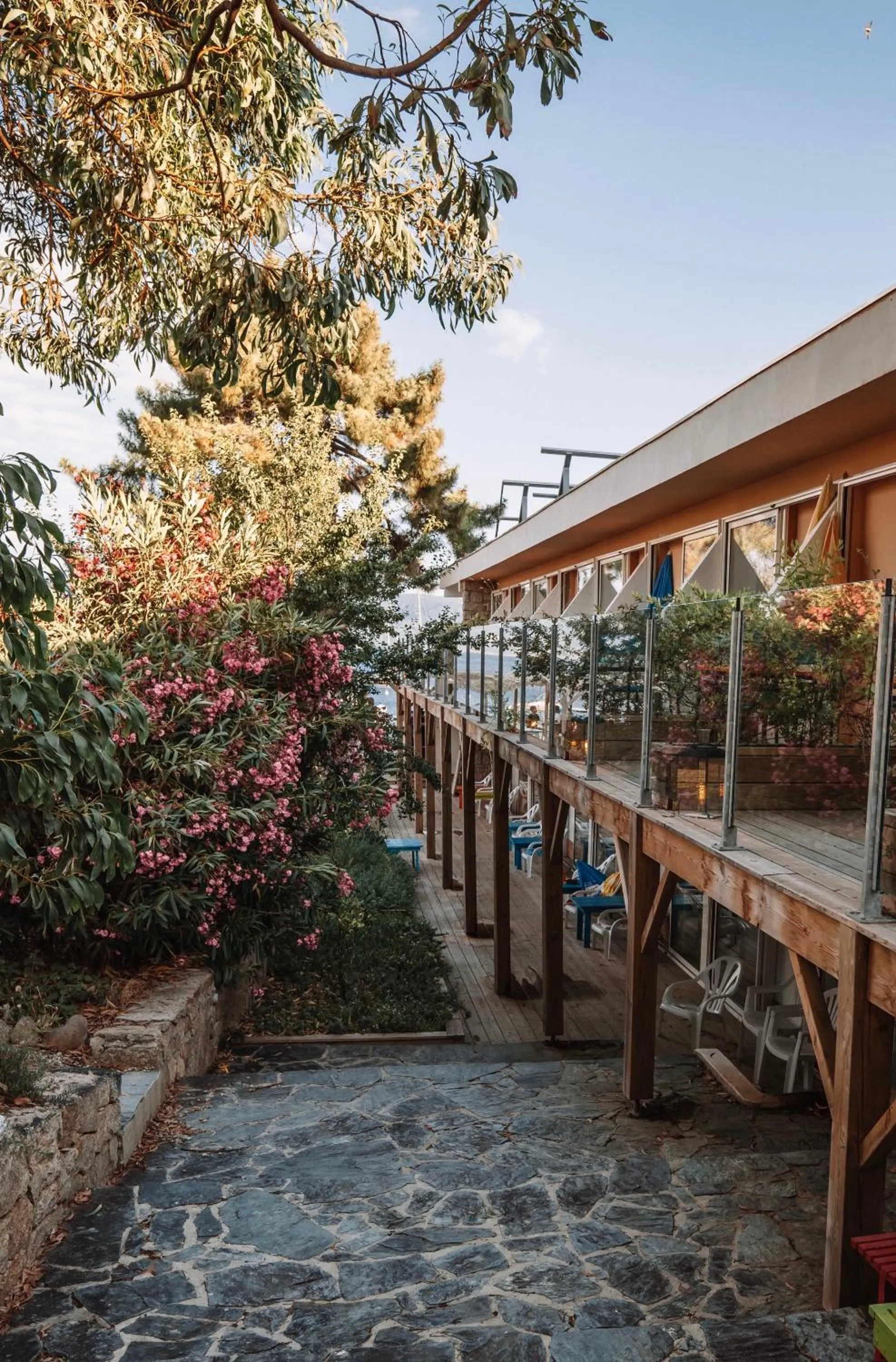 Garden in Hotel L'Escale