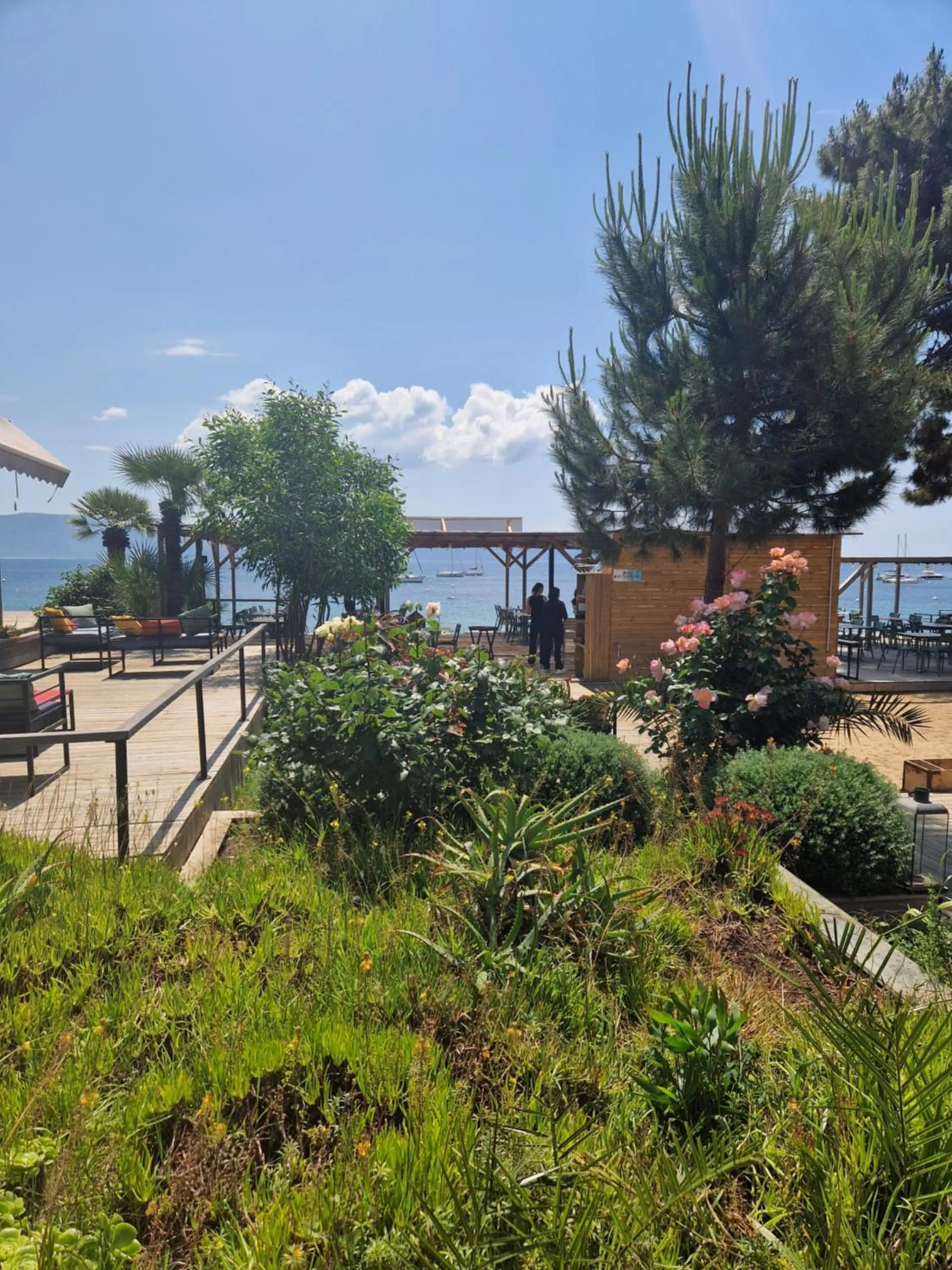 Restaurant/places to eat in Hotel L'Escale