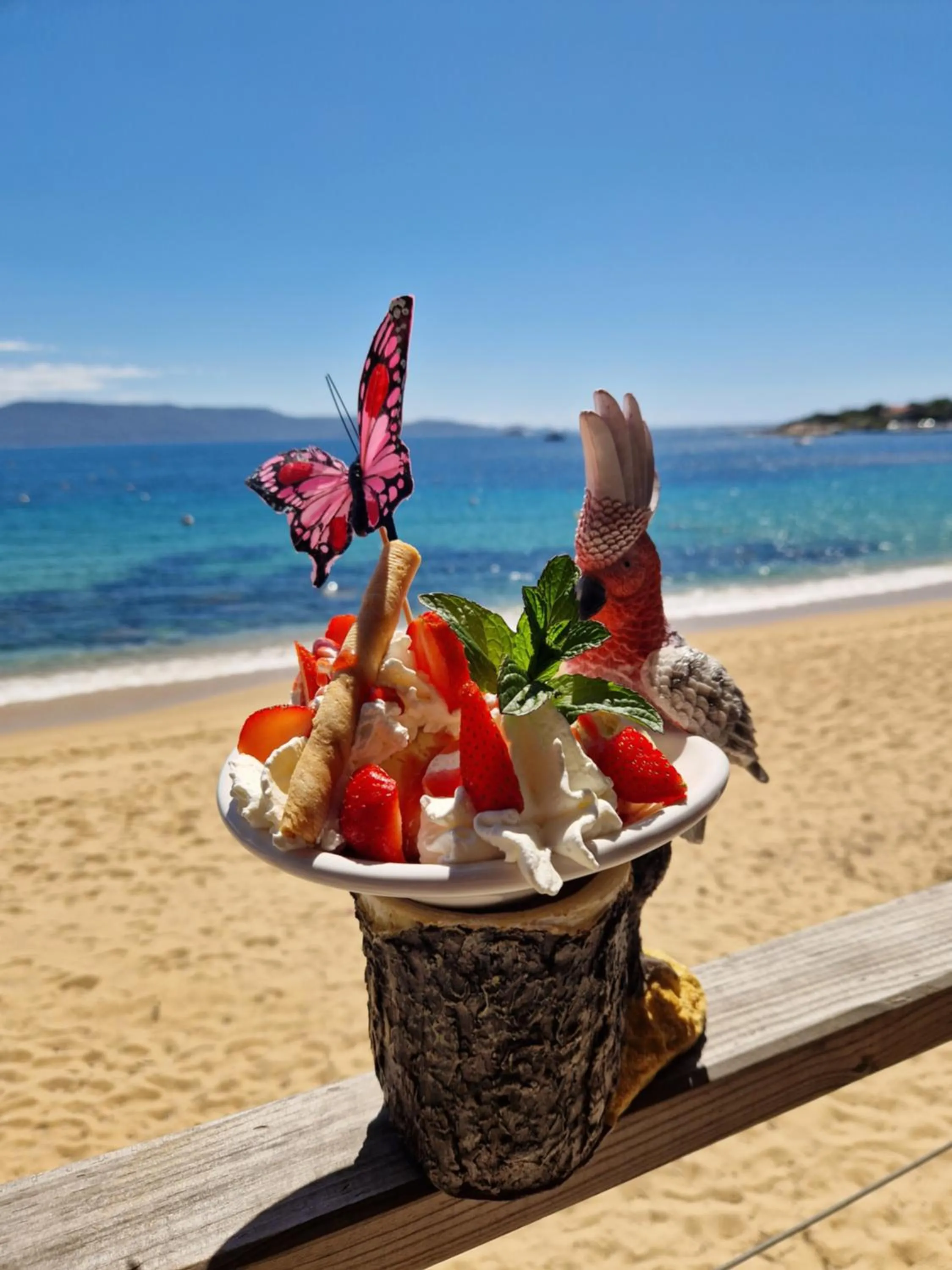 Restaurant/places to eat in Hotel L'Escale