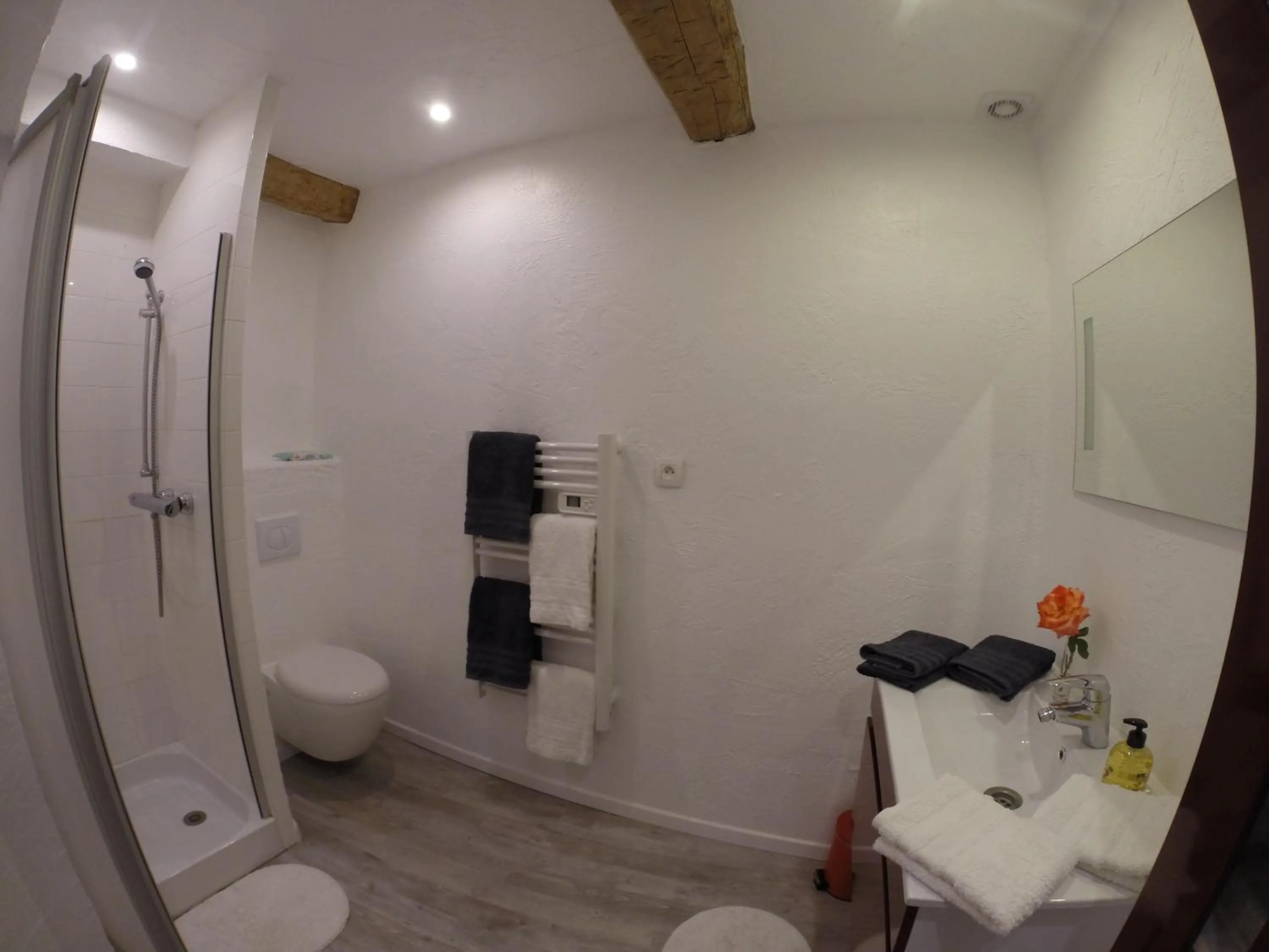 Shower in Maison Carles BnB