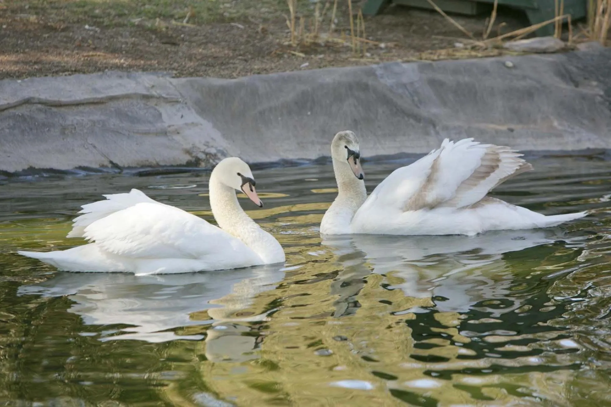 Balcony/Terrace in Beaufort Manor Country Lodge