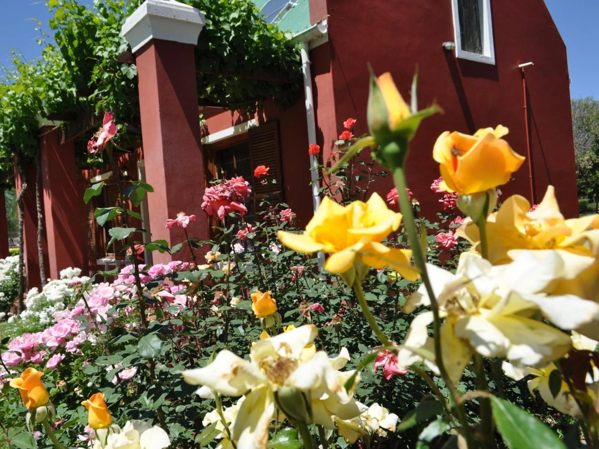 Facade/entrance in Beaufort Manor Country Lodge