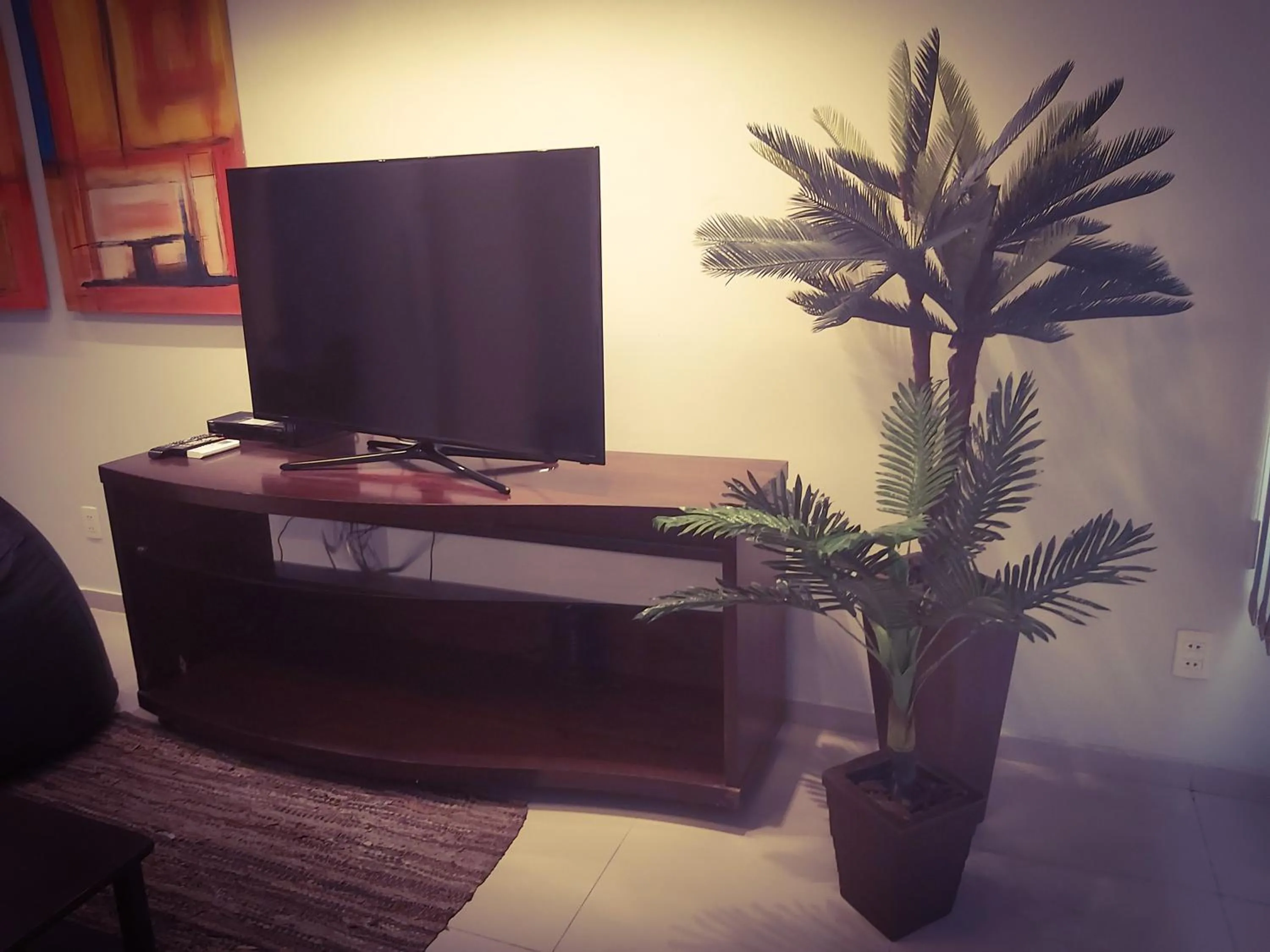 Apartamento Barão da Torre