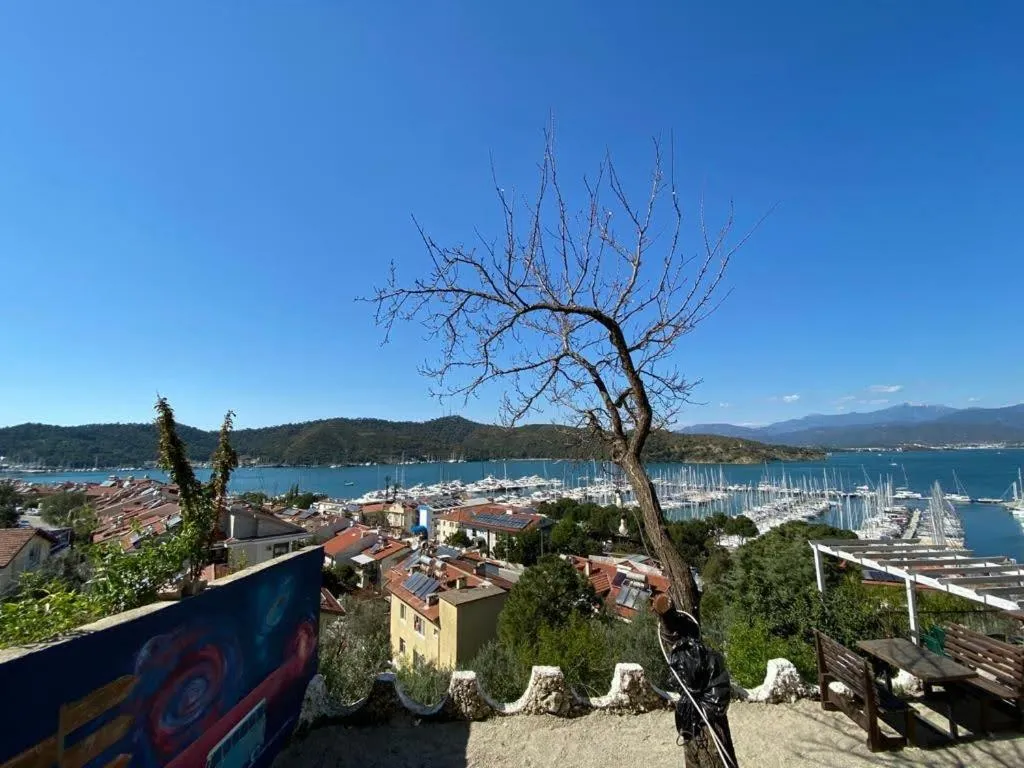 Sea view in El Camino Hostel & Pub