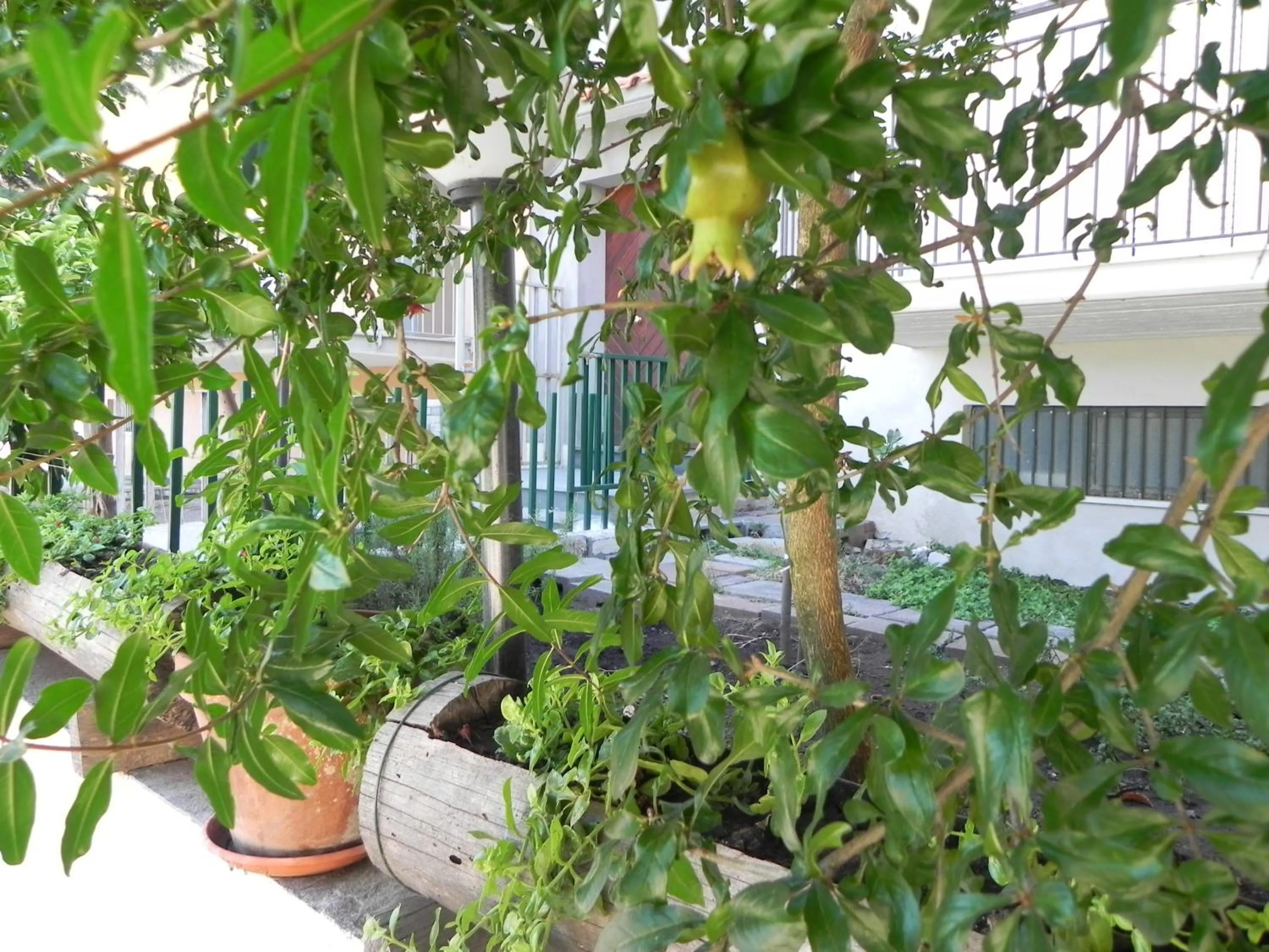 Garden in Affittacamere Bellavista