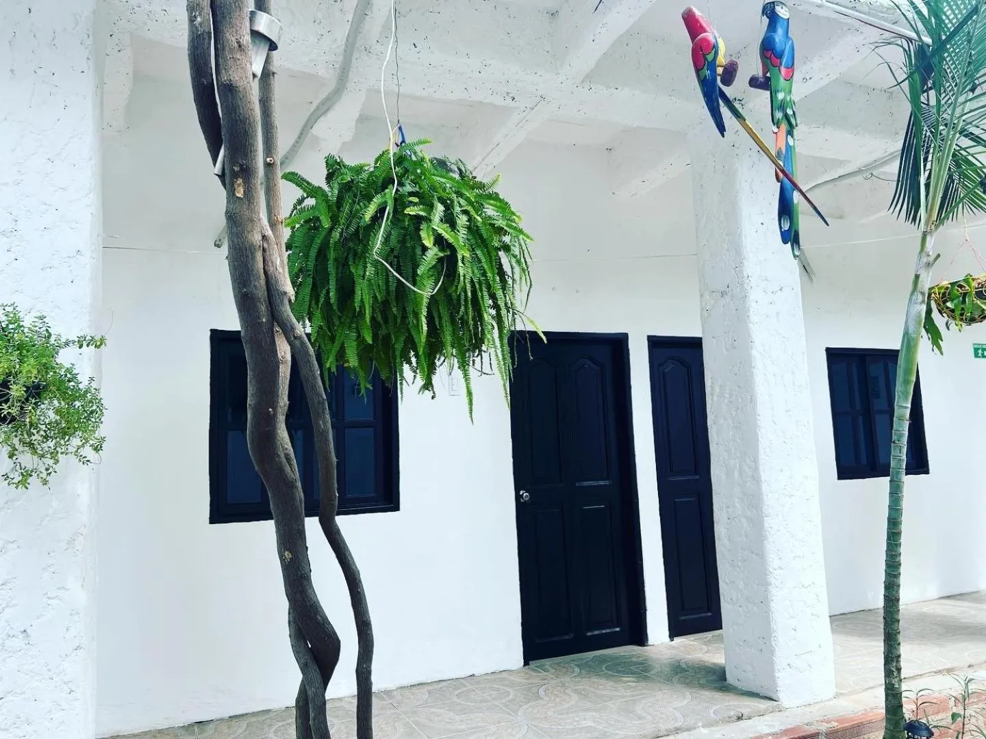 Garden in Casa Torices Real 12