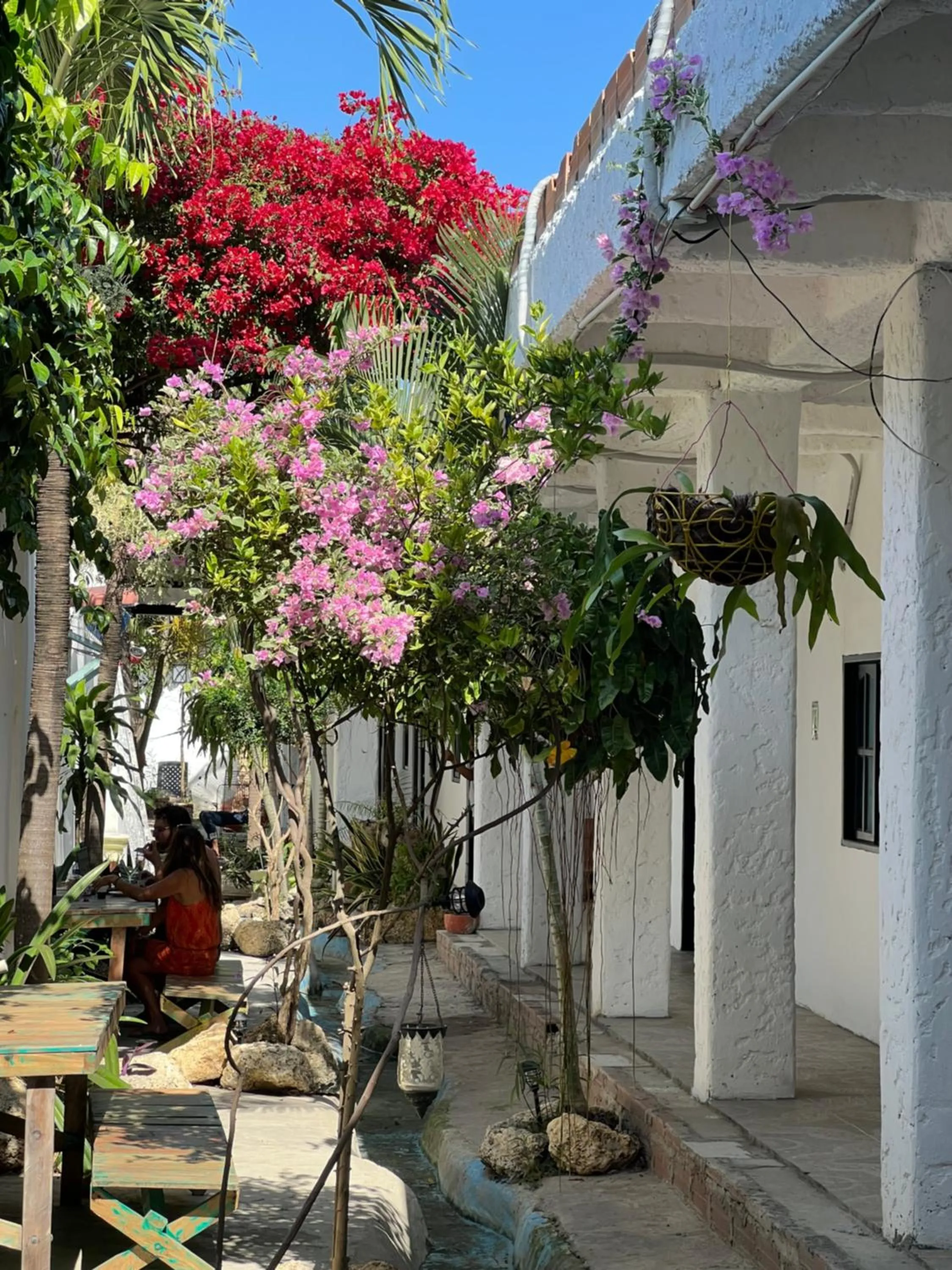 Garden in Casa Torices Real 12