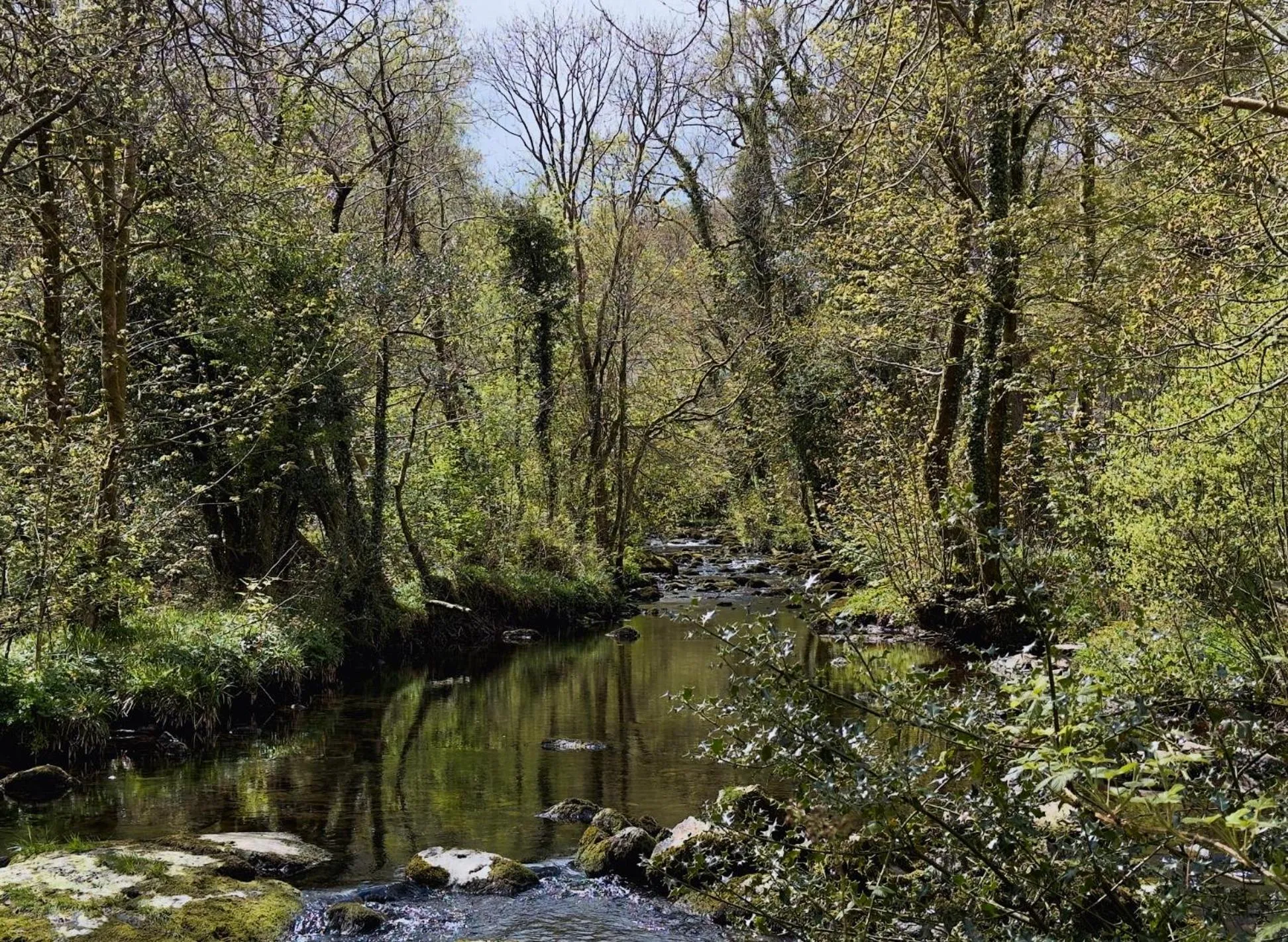 Natural landscape in Skelwith Bridge Hotel