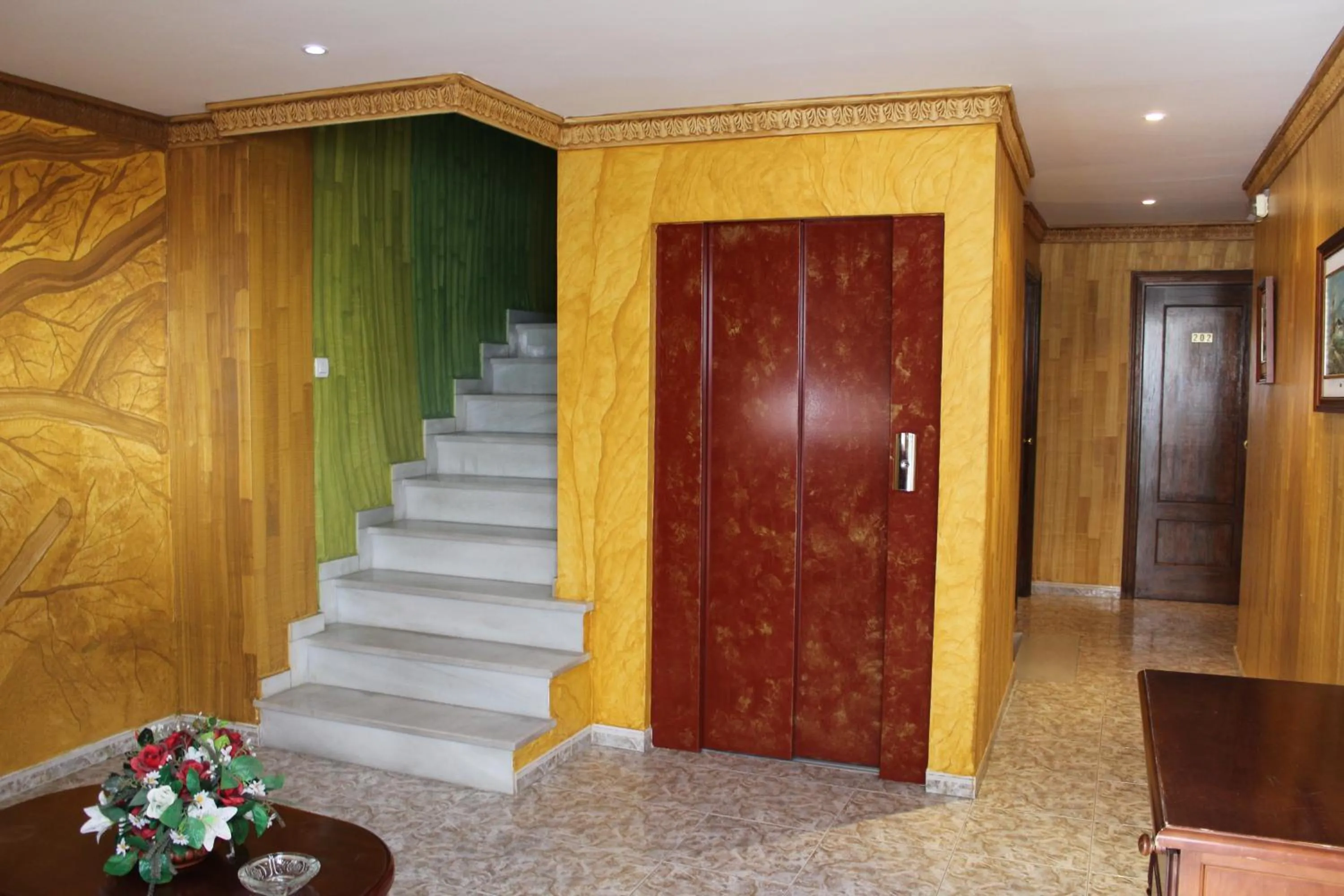 Area and facilities in Hotel Doña Carmen