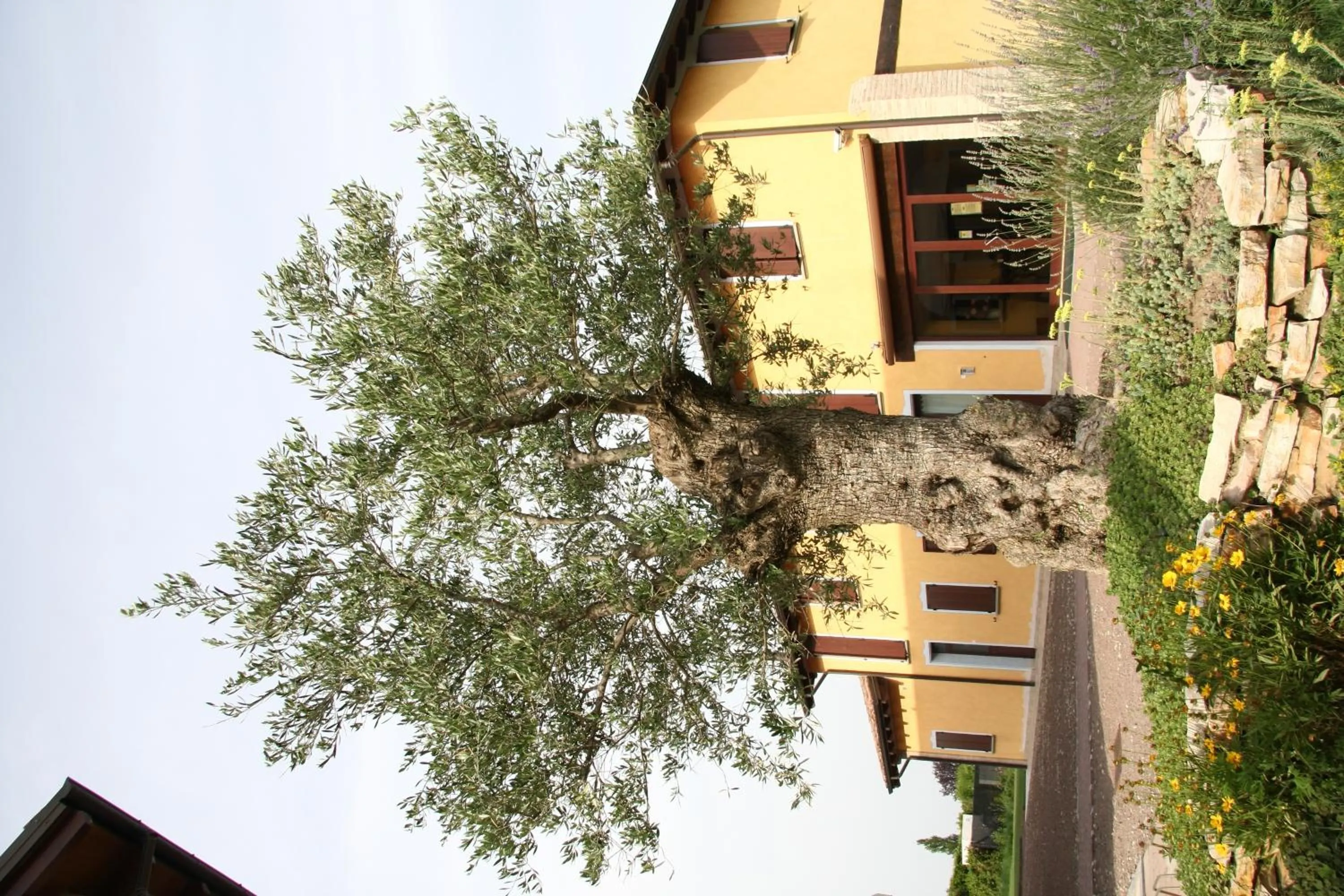 Decorative detail in Hotel del Rio Srl - RISTORANTE e Azienda agricola